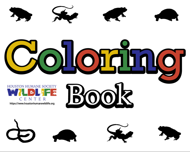 Houston Humane Society Wildlife Center