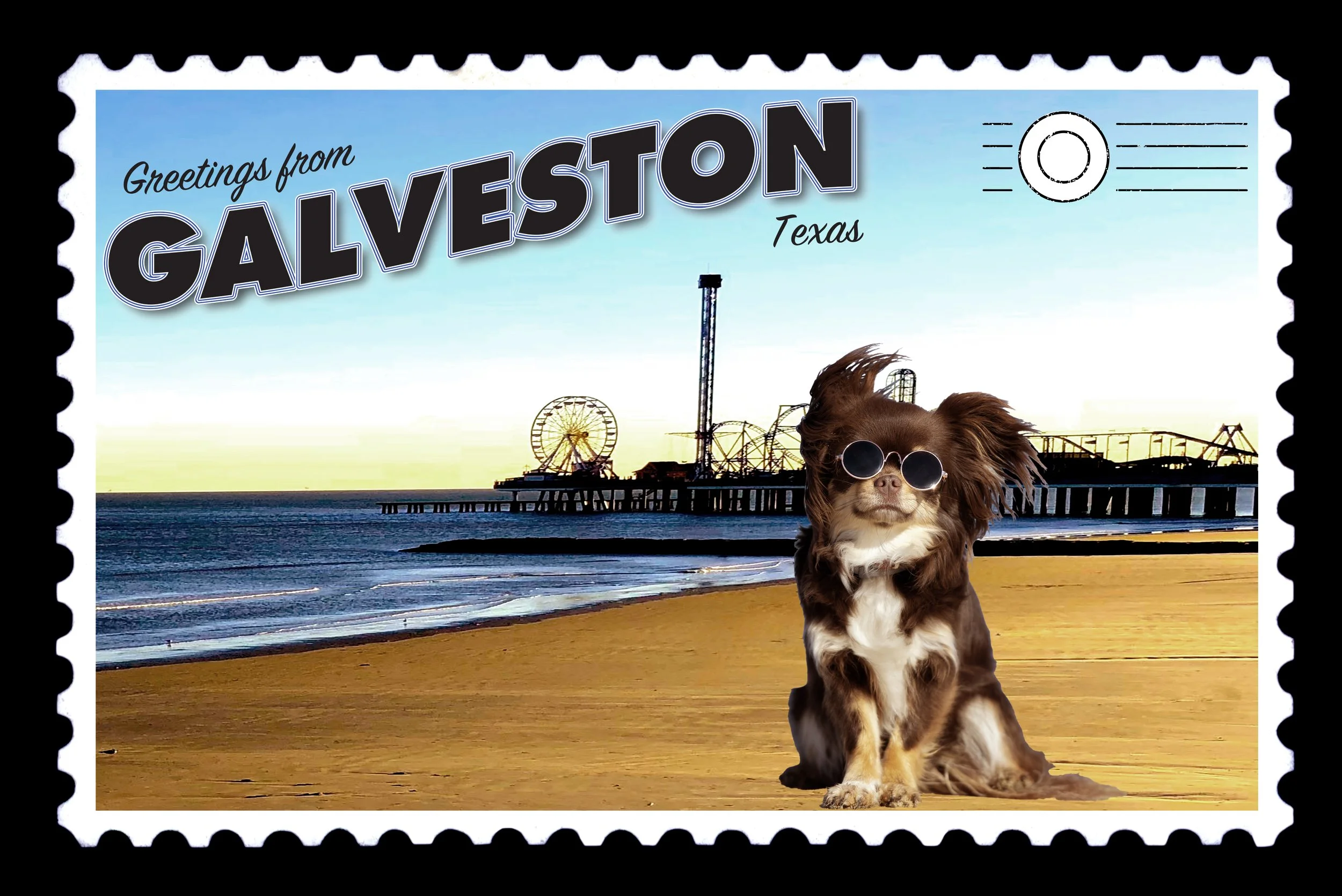 Galveston Postcard
