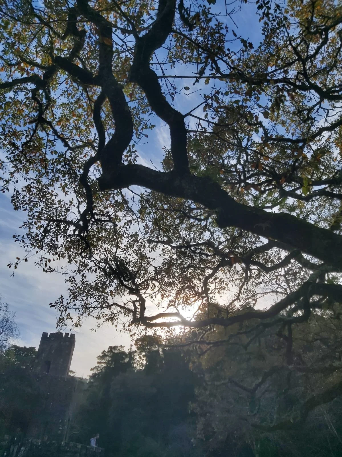 WhatsApp Image 2026-02-15 at 16.25.18 (4).jpeg