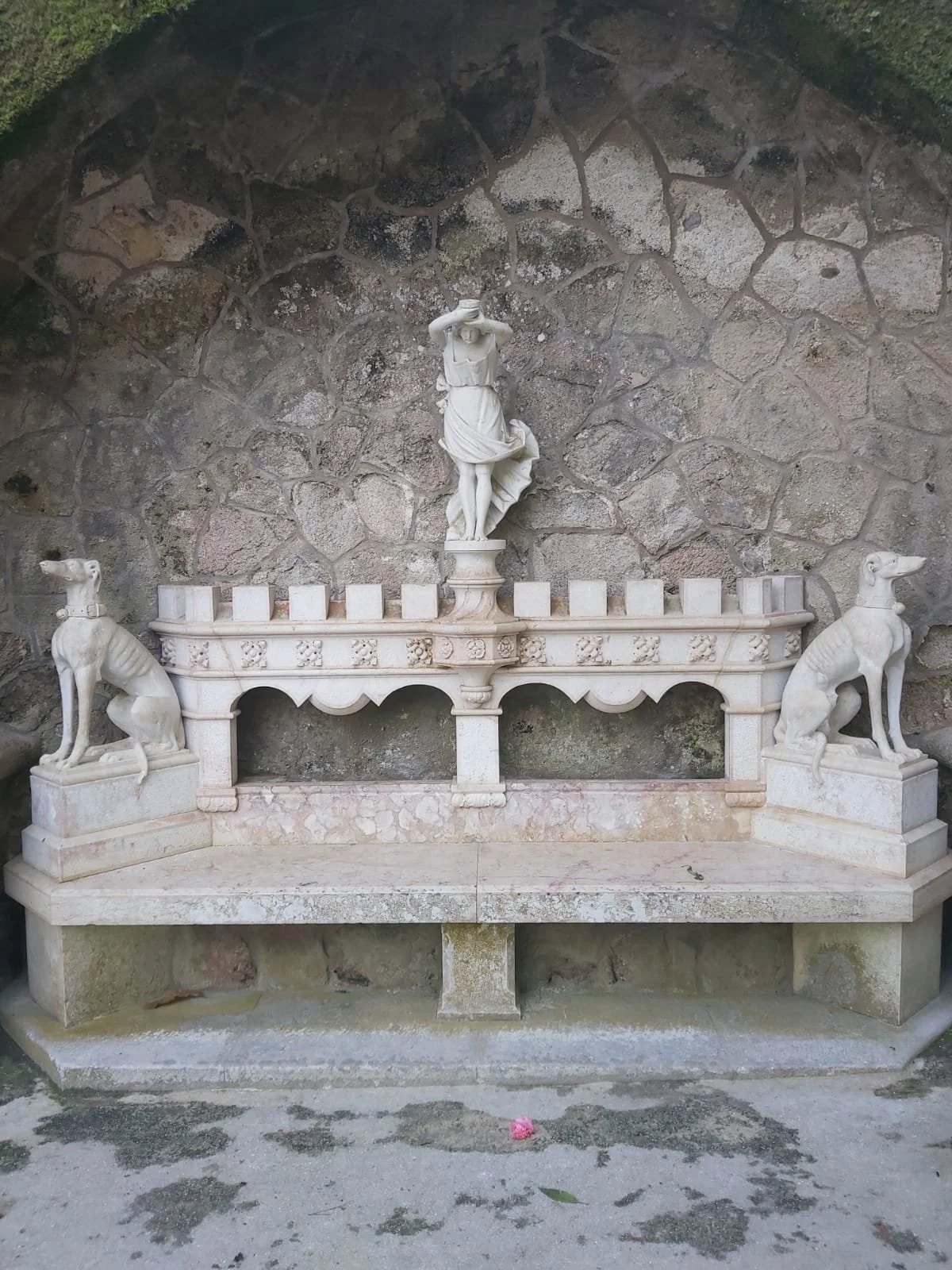 WhatsApp Image 2026-02-15 at 16.25.14.jpeg