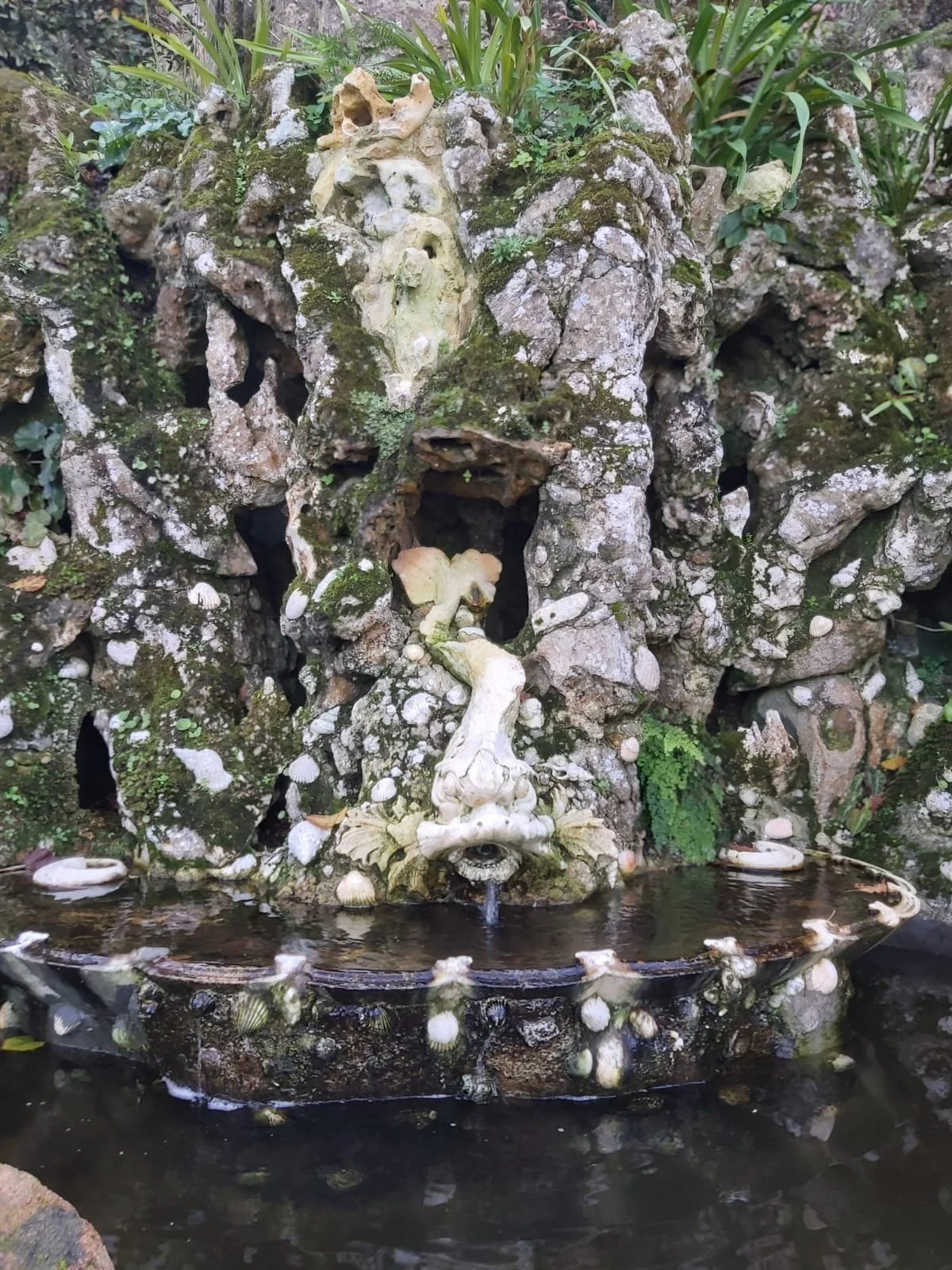 WhatsApp Image 2026-02-15 at 16.25.18 (2).jpeg