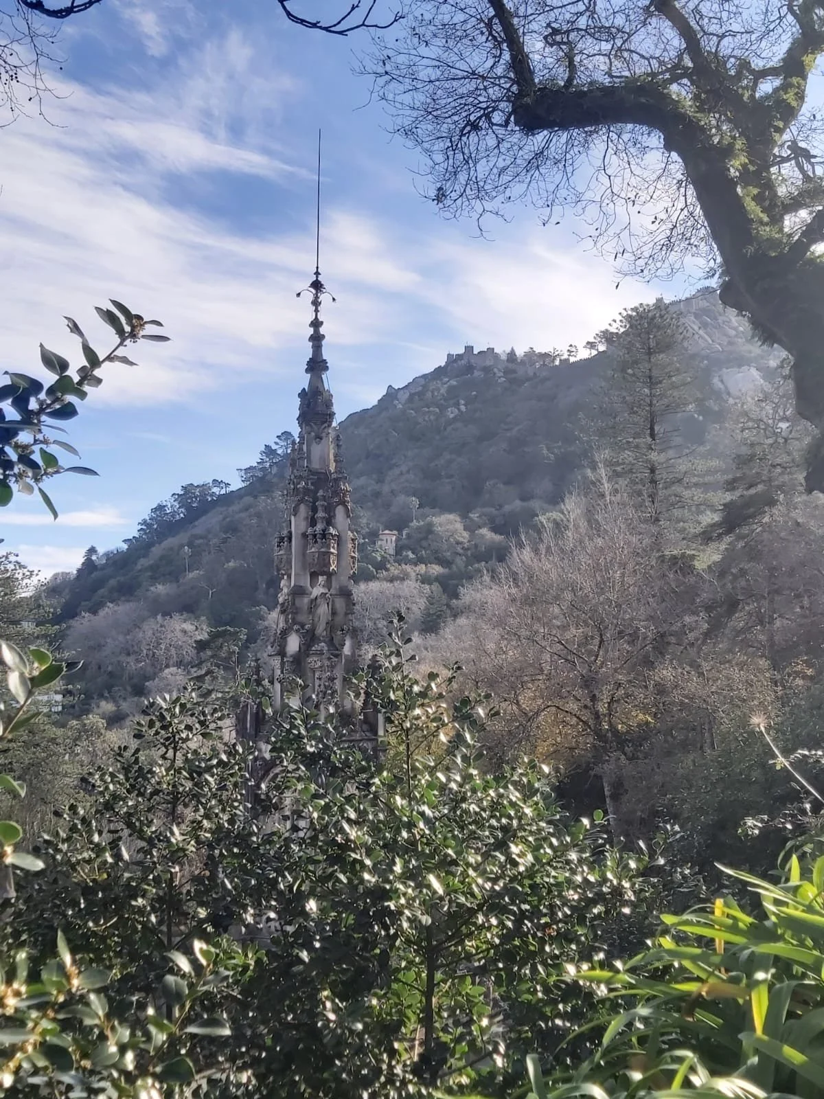 WhatsApp Image 2026-02-15 at 17.26.07.jpeg