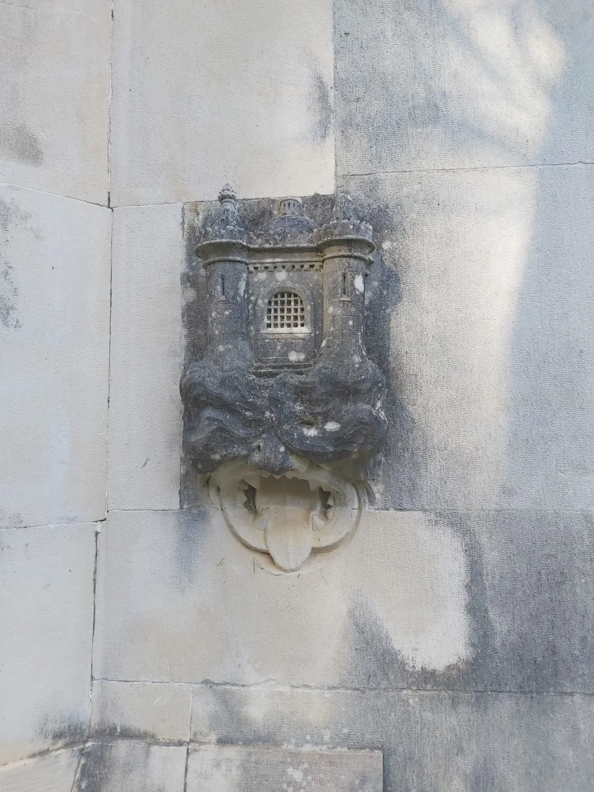 WhatsApp Image 2026-02-15 at 16.25.16.jpeg