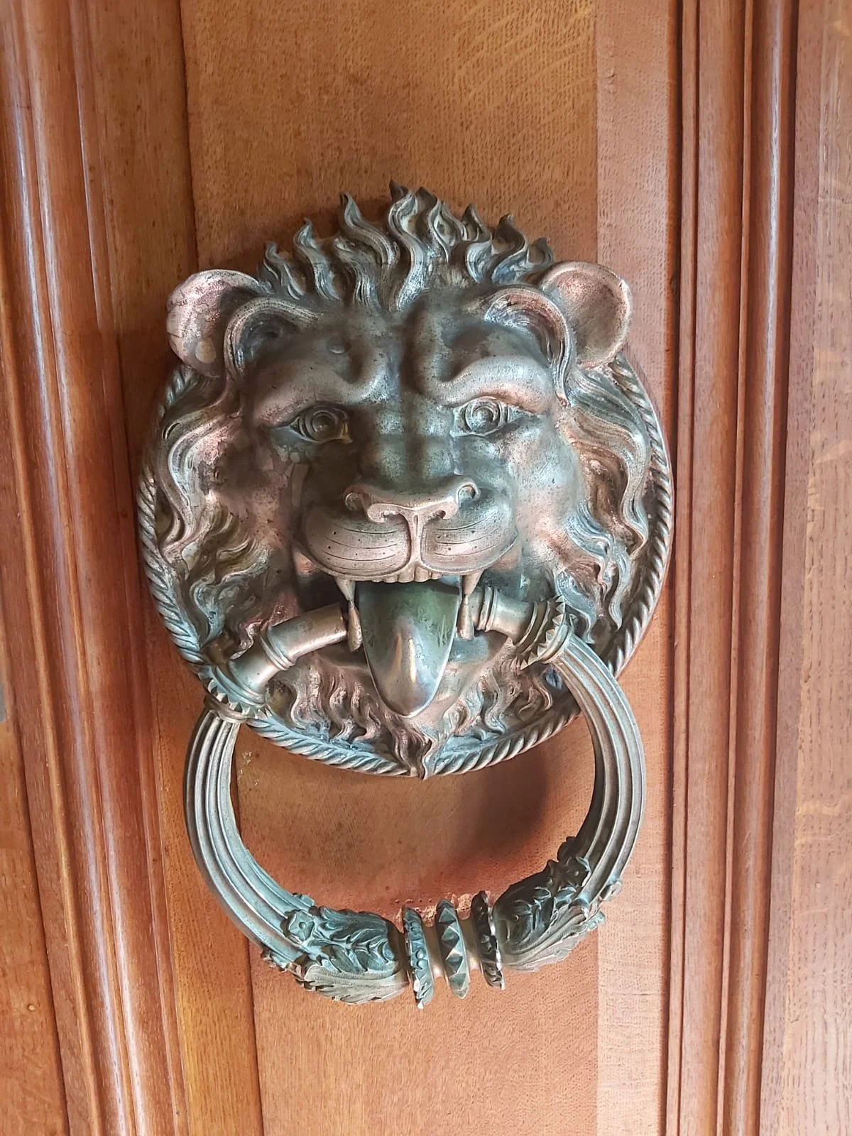 WhatsApp Image 2026-02-15 at 16.25.16 (1).jpeg