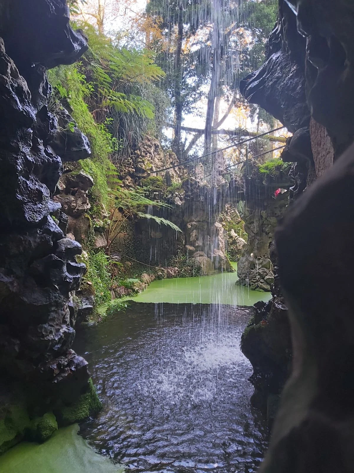 WhatsApp Image 2026-02-15 at 16.25.18 (3).jpeg