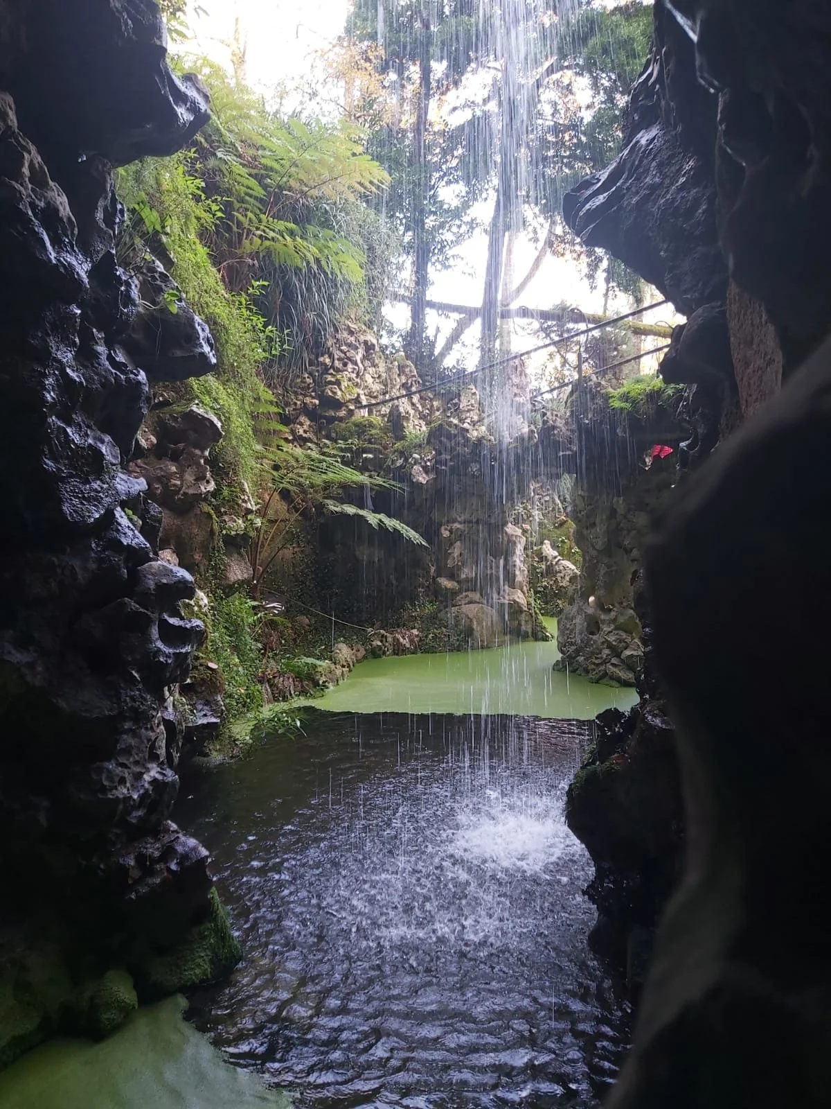 WhatsApp Image 2026-02-15 at 16.25.17 (2).jpeg