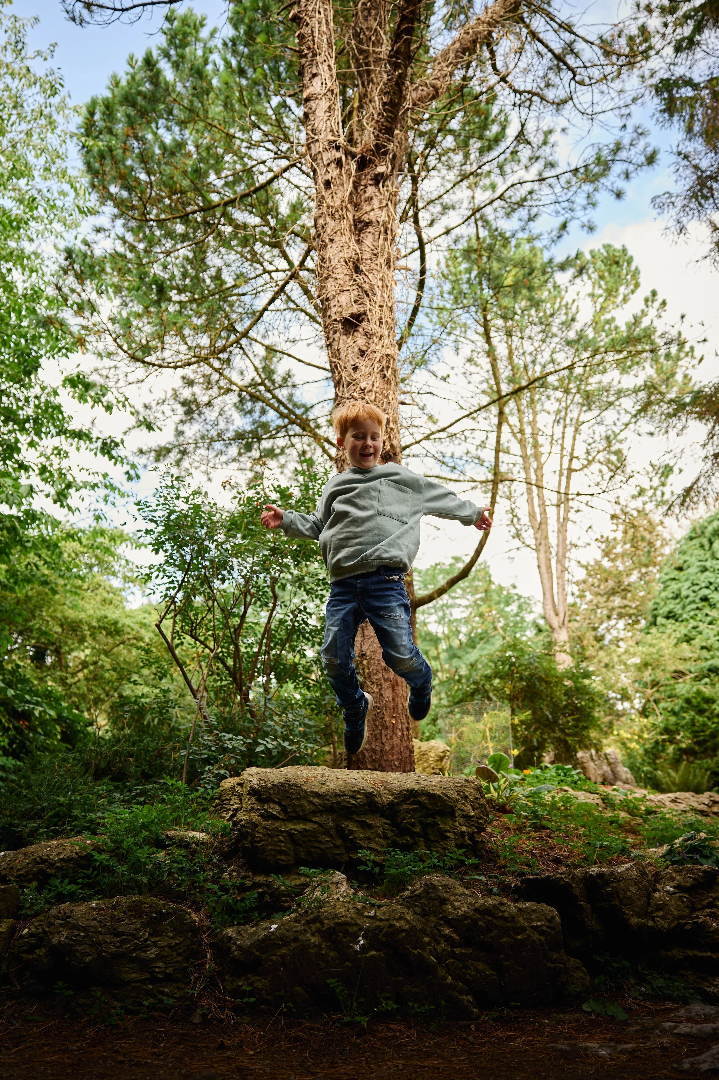 tickles-under-the-trees.jpg