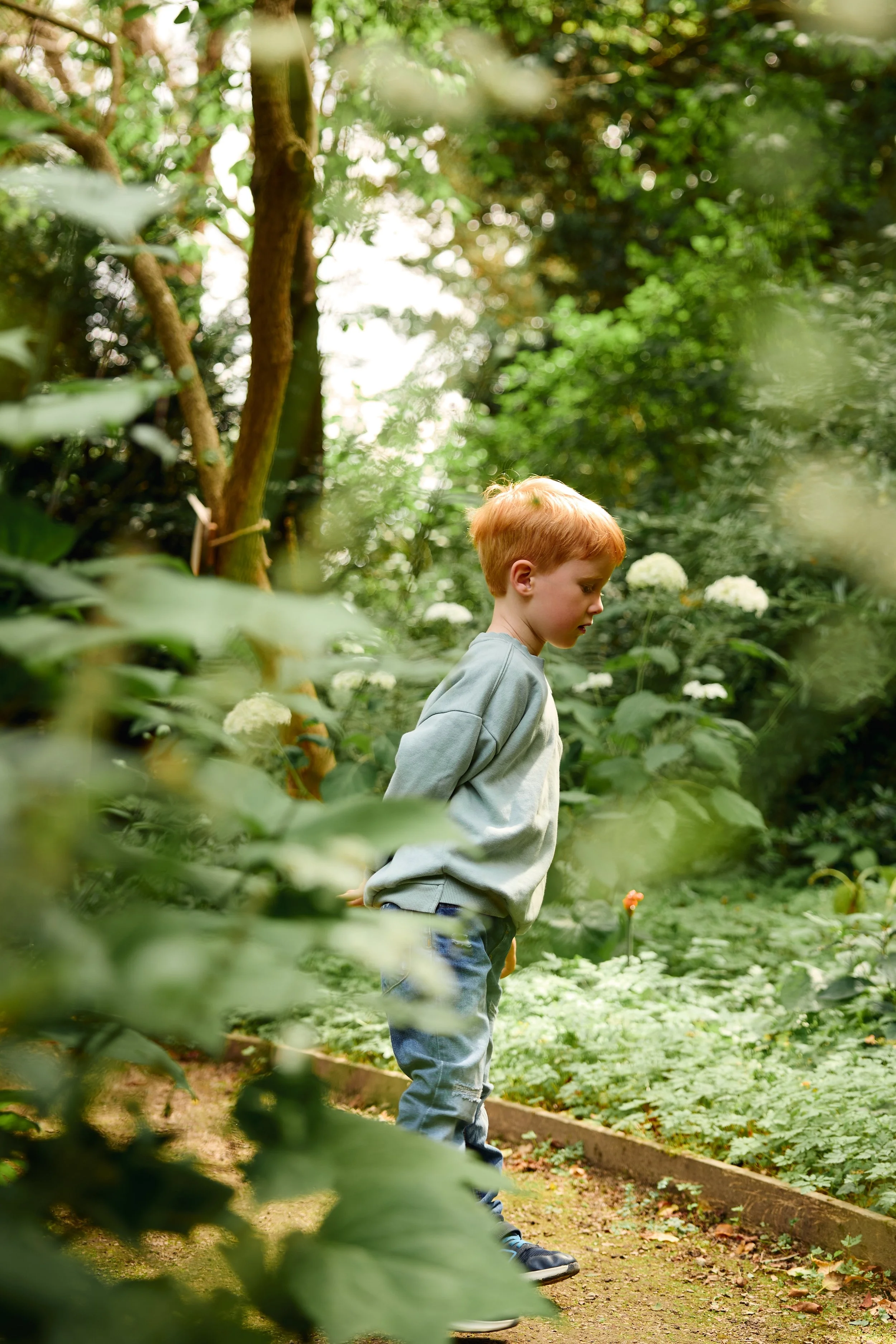 wildflower-walks-and-giggles.jpg