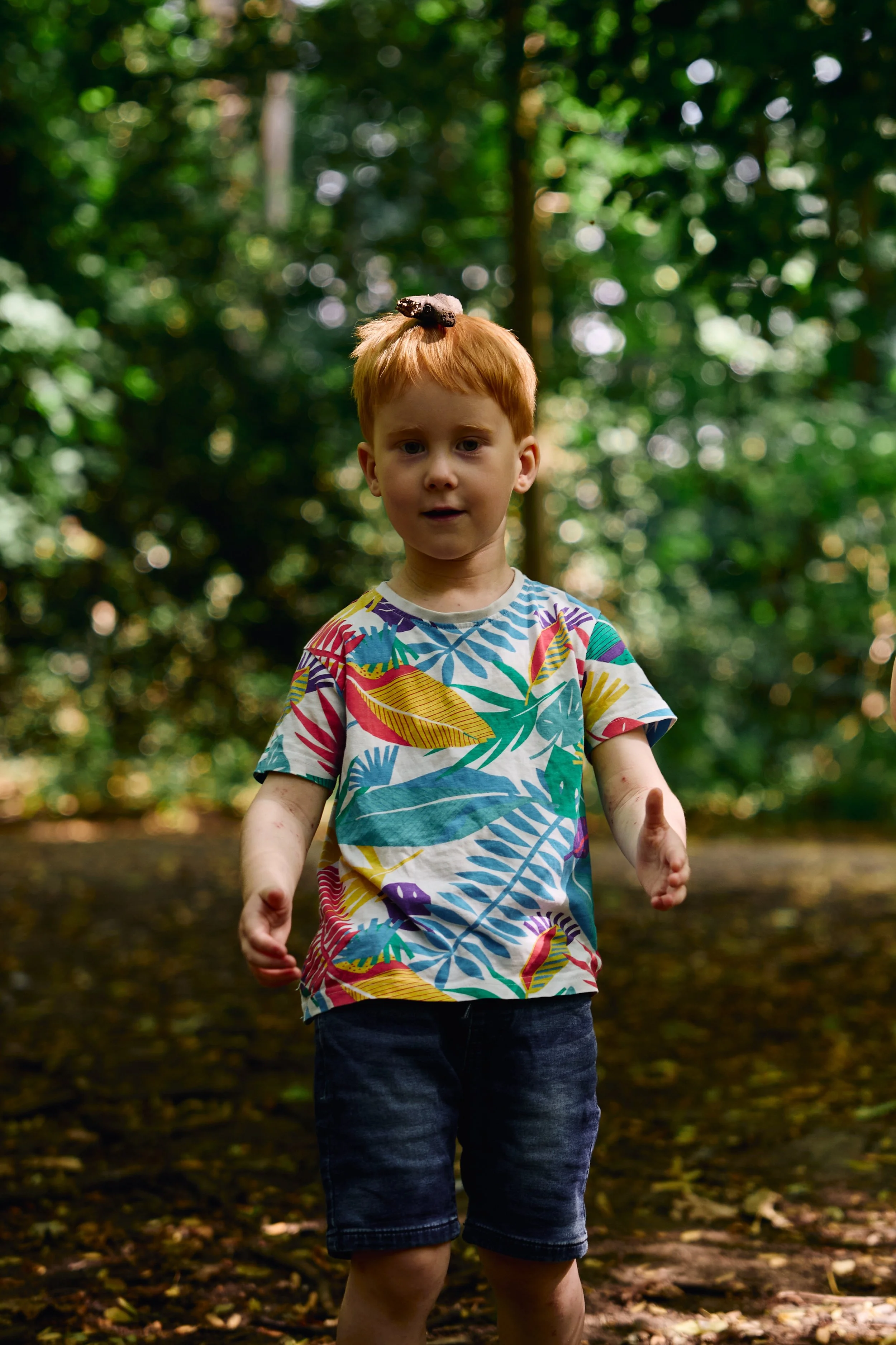 woodland-path-family-walk.jpg