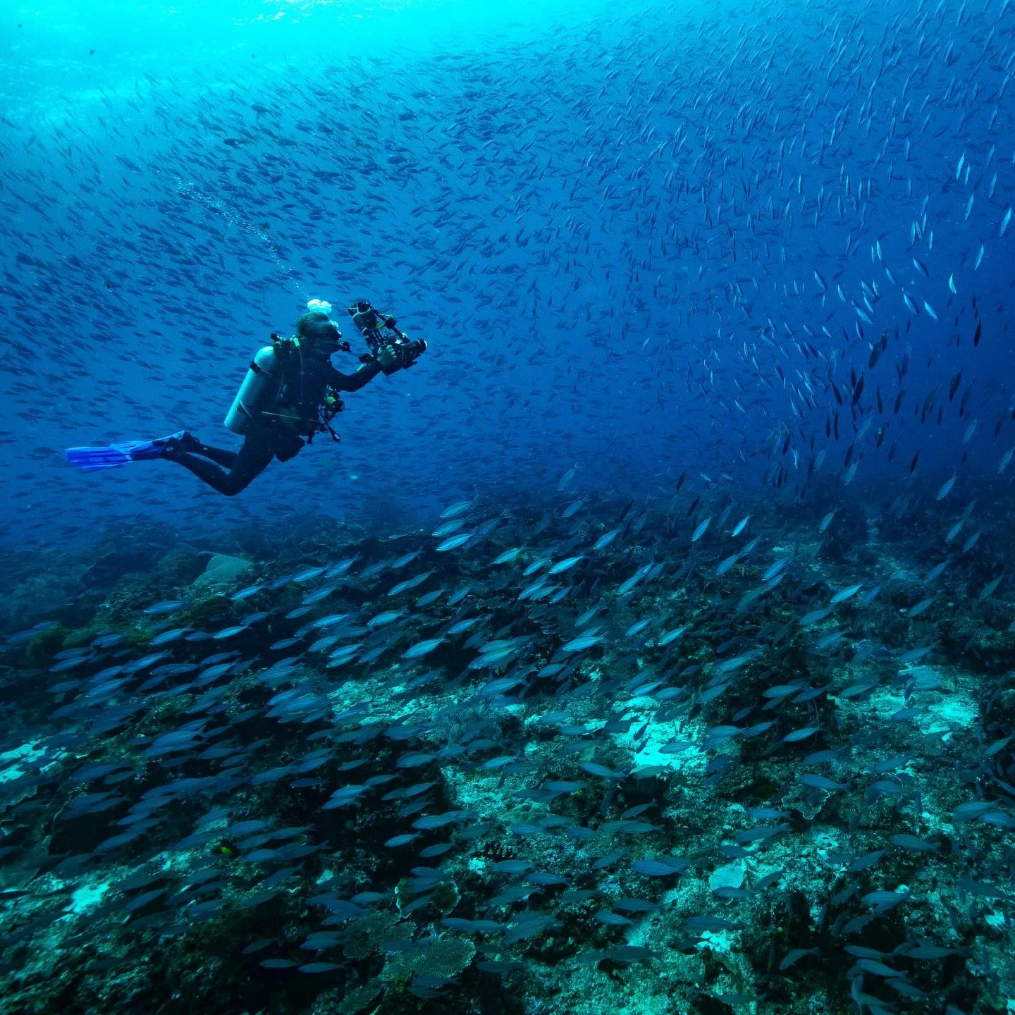 Photographing the riches of Raja Ampat reefs!  Thanks to @stefanokaslowski, @kizilkaya_zafer, @wahyumul, and @kayhanguceli (featured in order in these photos) and other friends for great times on our recent photo workshops, and to @coralia_liveaboard
