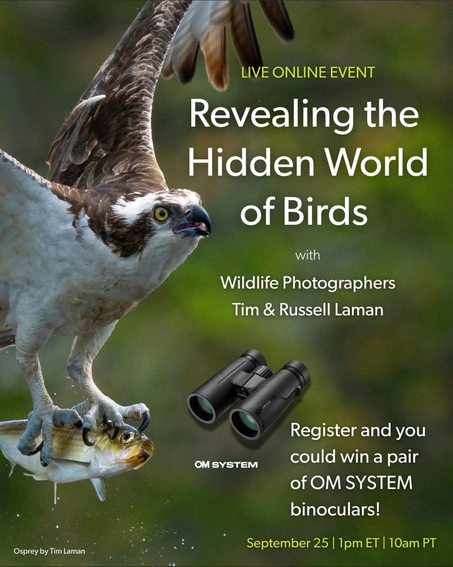 Register at the link in my story or link in bio. Join me and @russlaman on Thursday for this live event with @cornellbirds #wildbirdsrevealed