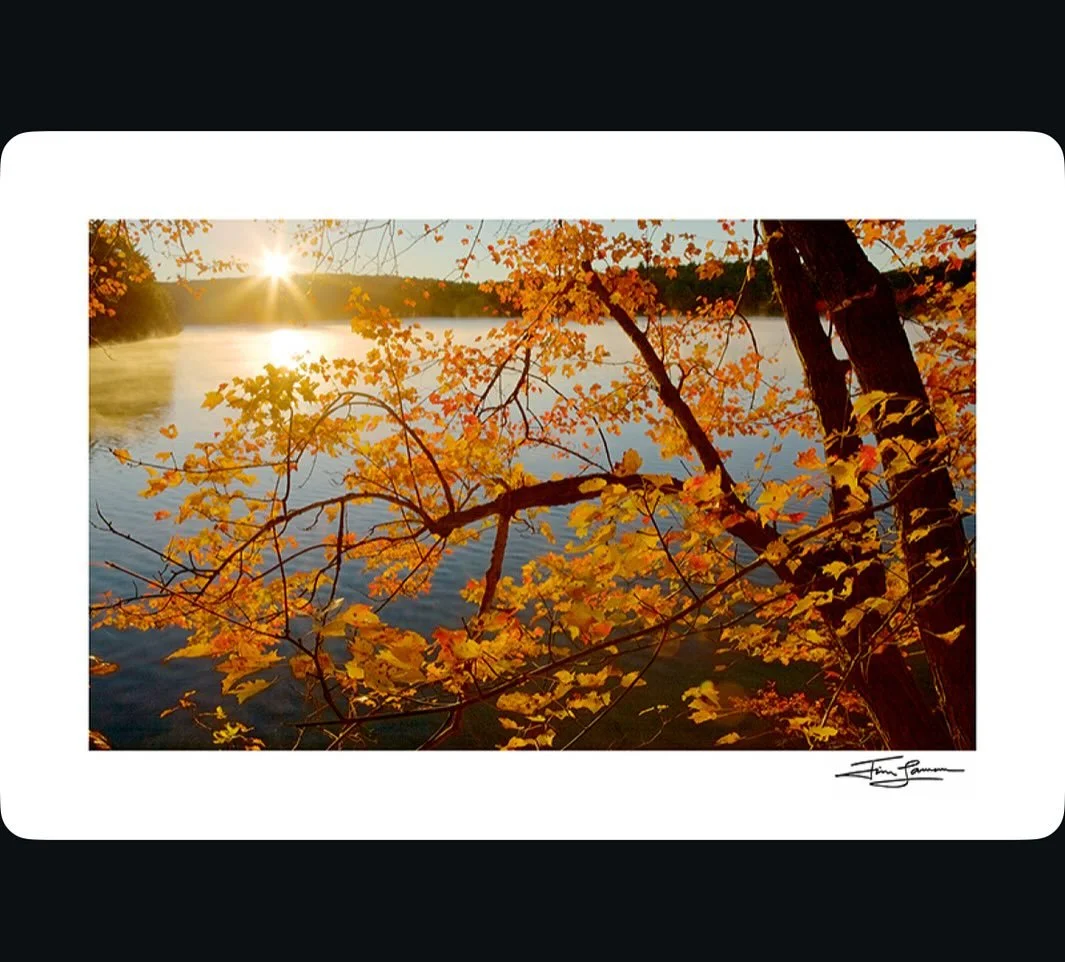 Do you switch up your wall art with the seasons? I just put this up in my kitchen where I can enjoy it every day. As the sunrise illuminates the maple leaves and mist on Walden Pond, I find a moment of reflection. How does this scene speak to you? 🍂