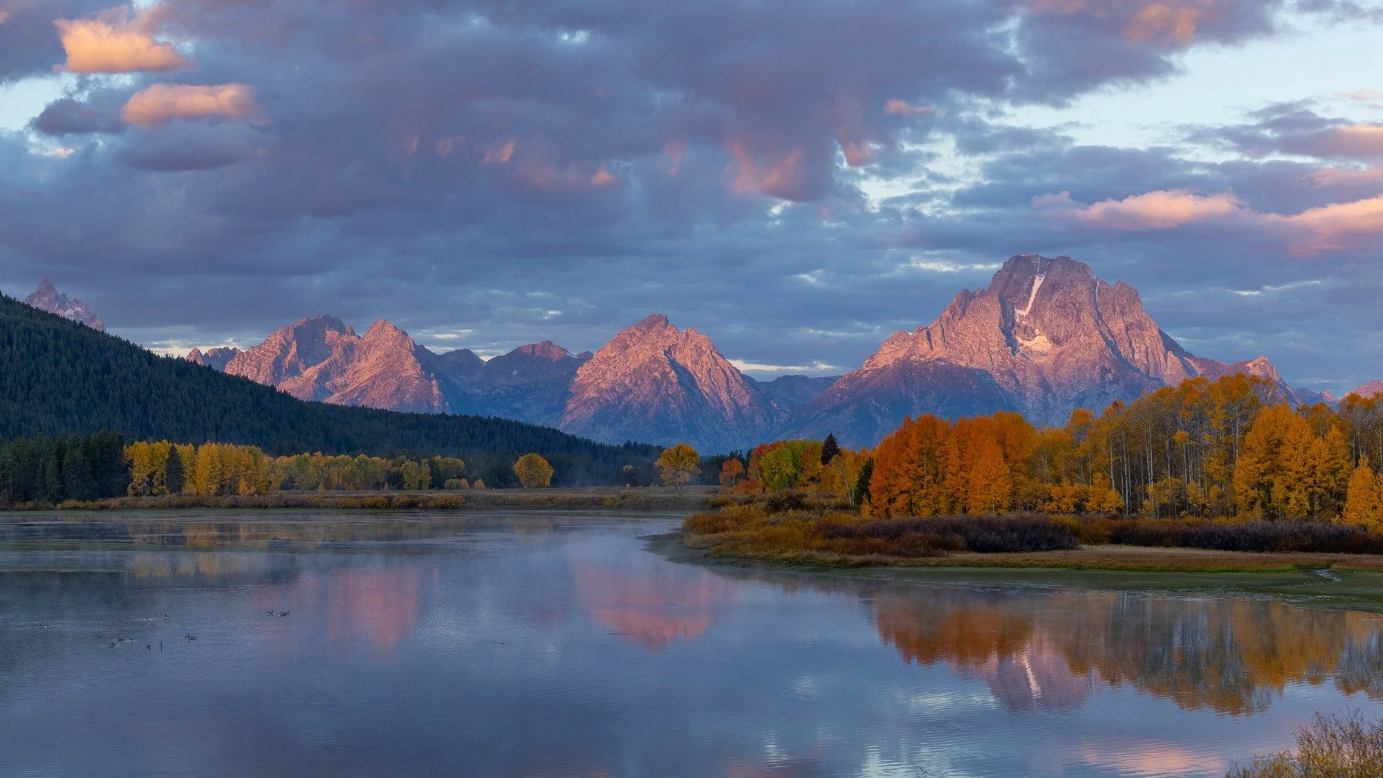 Mount Moran and fall colors reflect in the Oxbow Bend of the Snake River.  It's a classic viewpoint - for obvious reasons.  Fall colors were peaking when I was there a few weeks ago. 
Let me know if you are interested in this photograph as a print fo
