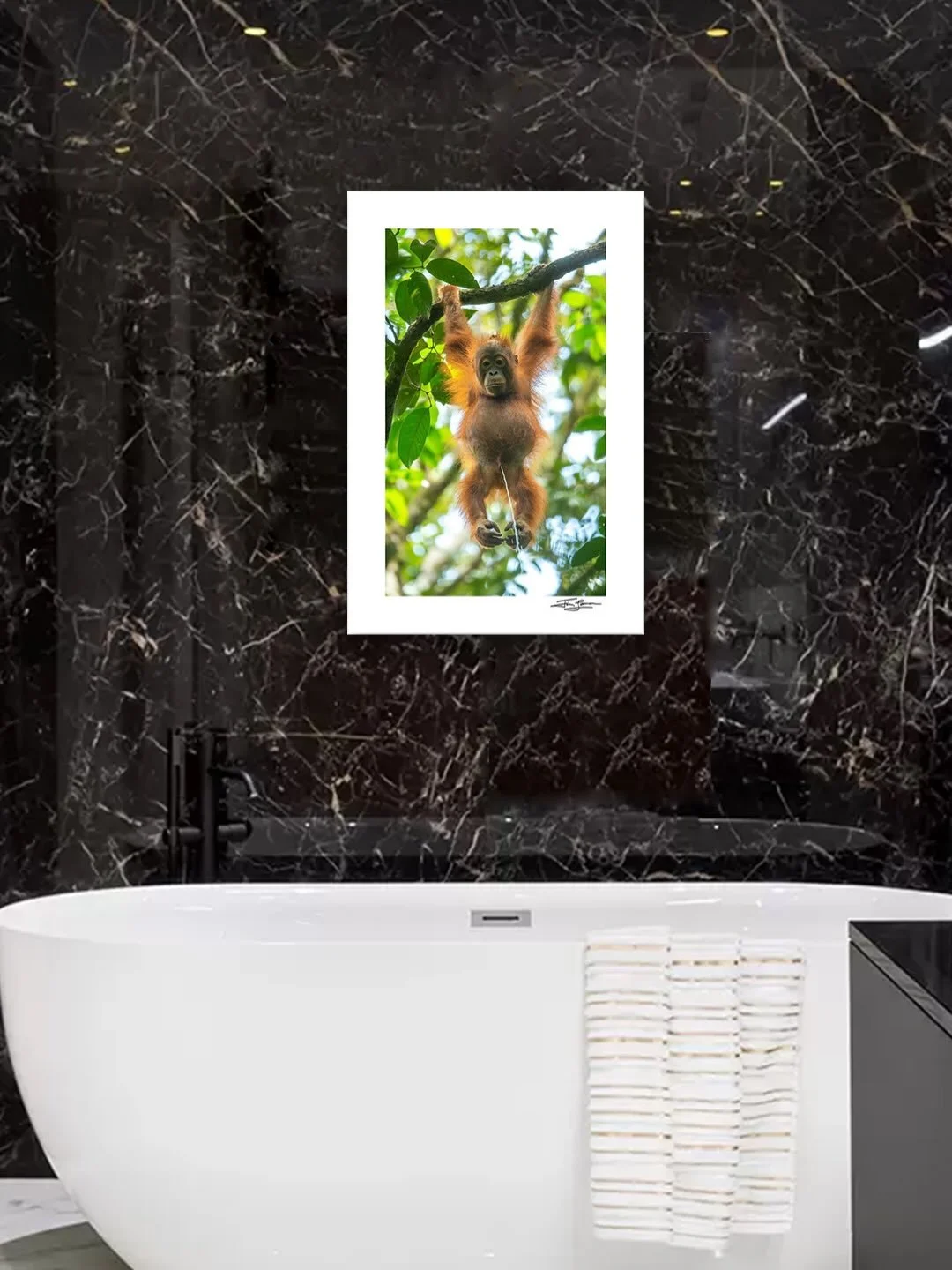 Looking to liven up your bathroom? Use my Earth Day Print Sale and Conservation Fundraiser to save 25%.

This might be the best wall art for a bathroom&mdash;and your purchase will help protect wild orangutans like this little guy.

I photographed &l