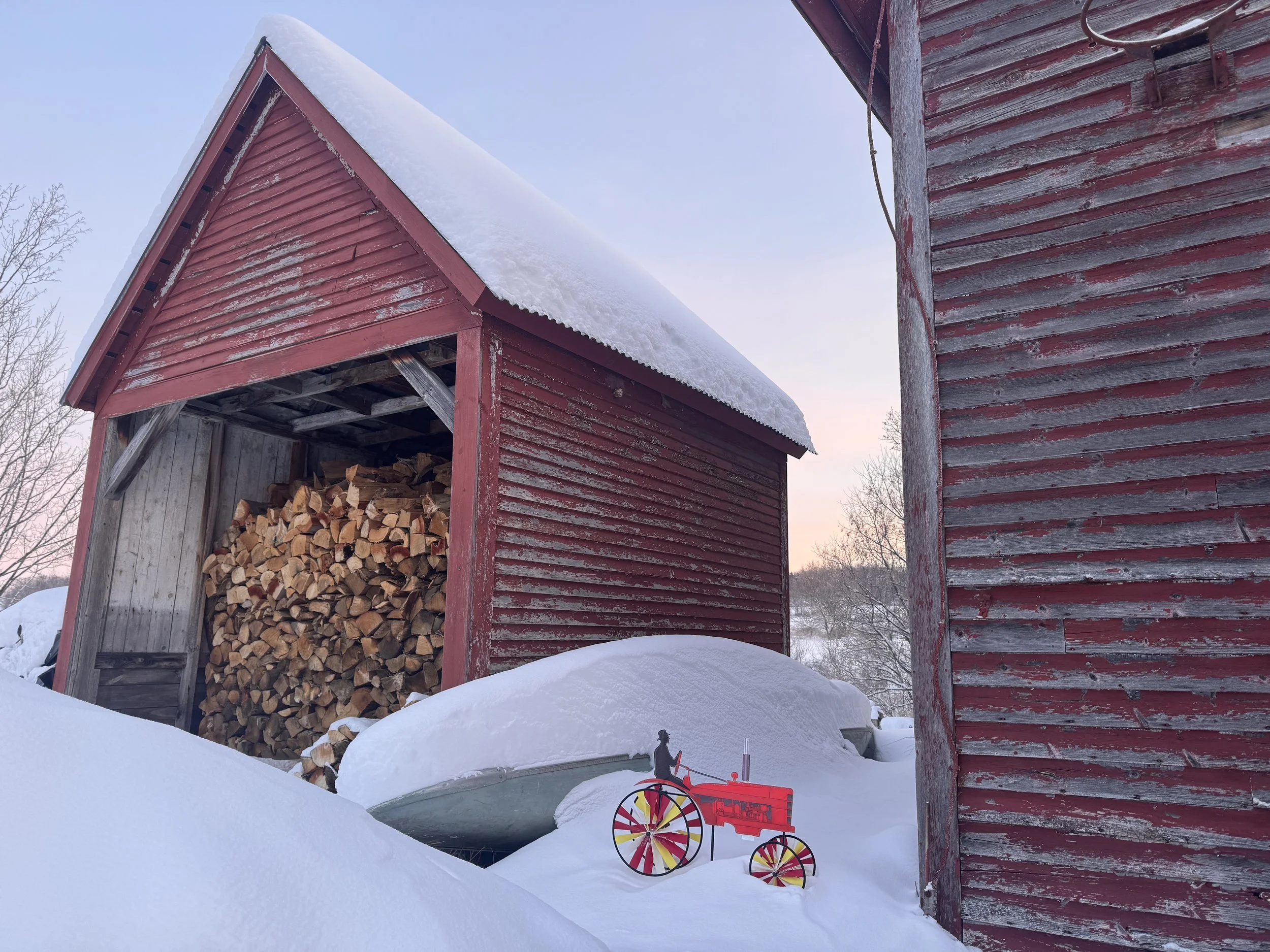 snow covered wood shed