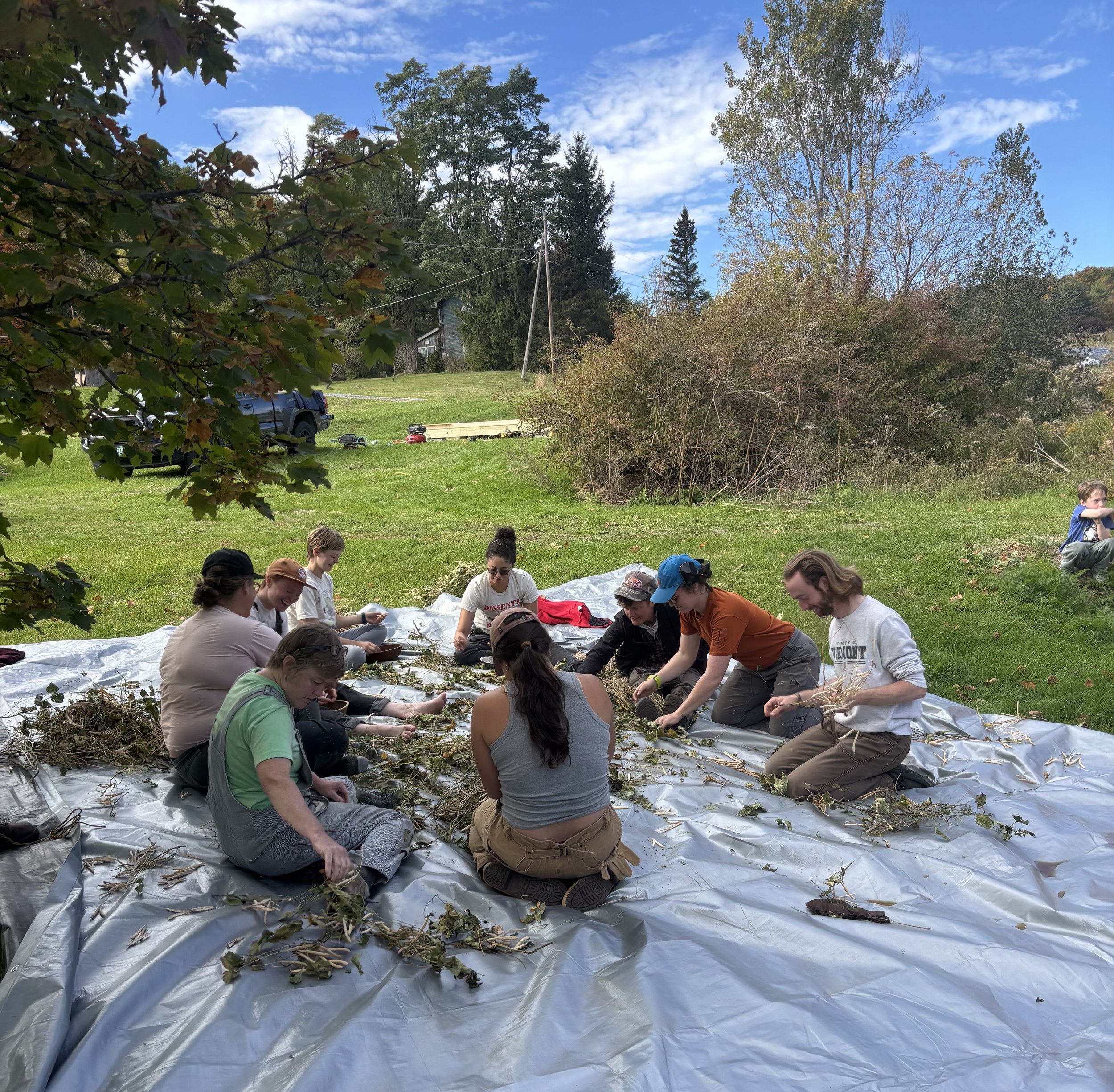 Wednesday Evening Shared Work