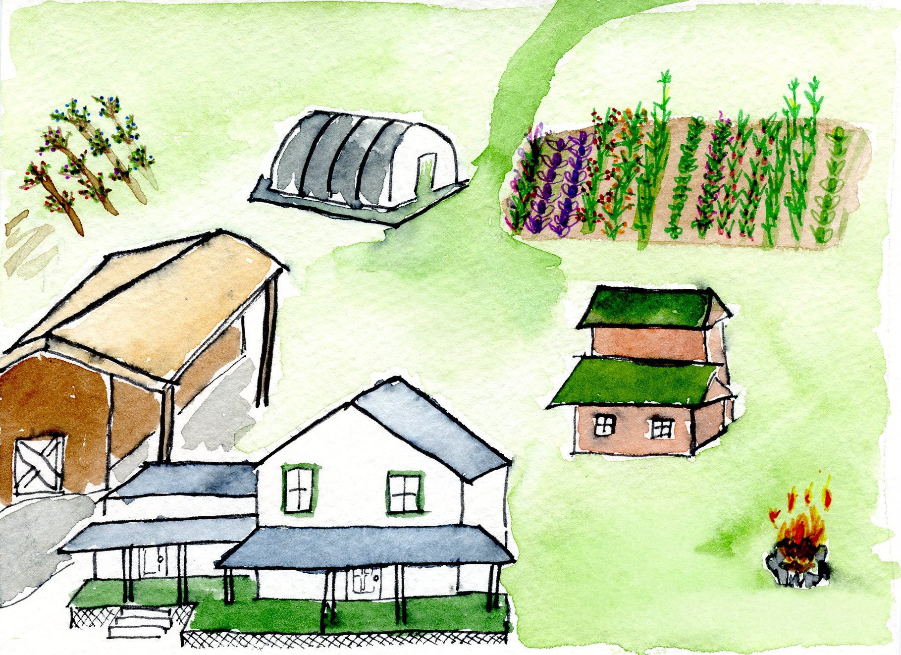 A watercolor painting of Jump Rope Farm in New Haven, VT, with farm buildings, gardens, fire pit, and small trees. For people interested in volunteer farming opportunities and regenerative agriculture, contact Jump Rope Farm in Addison County.