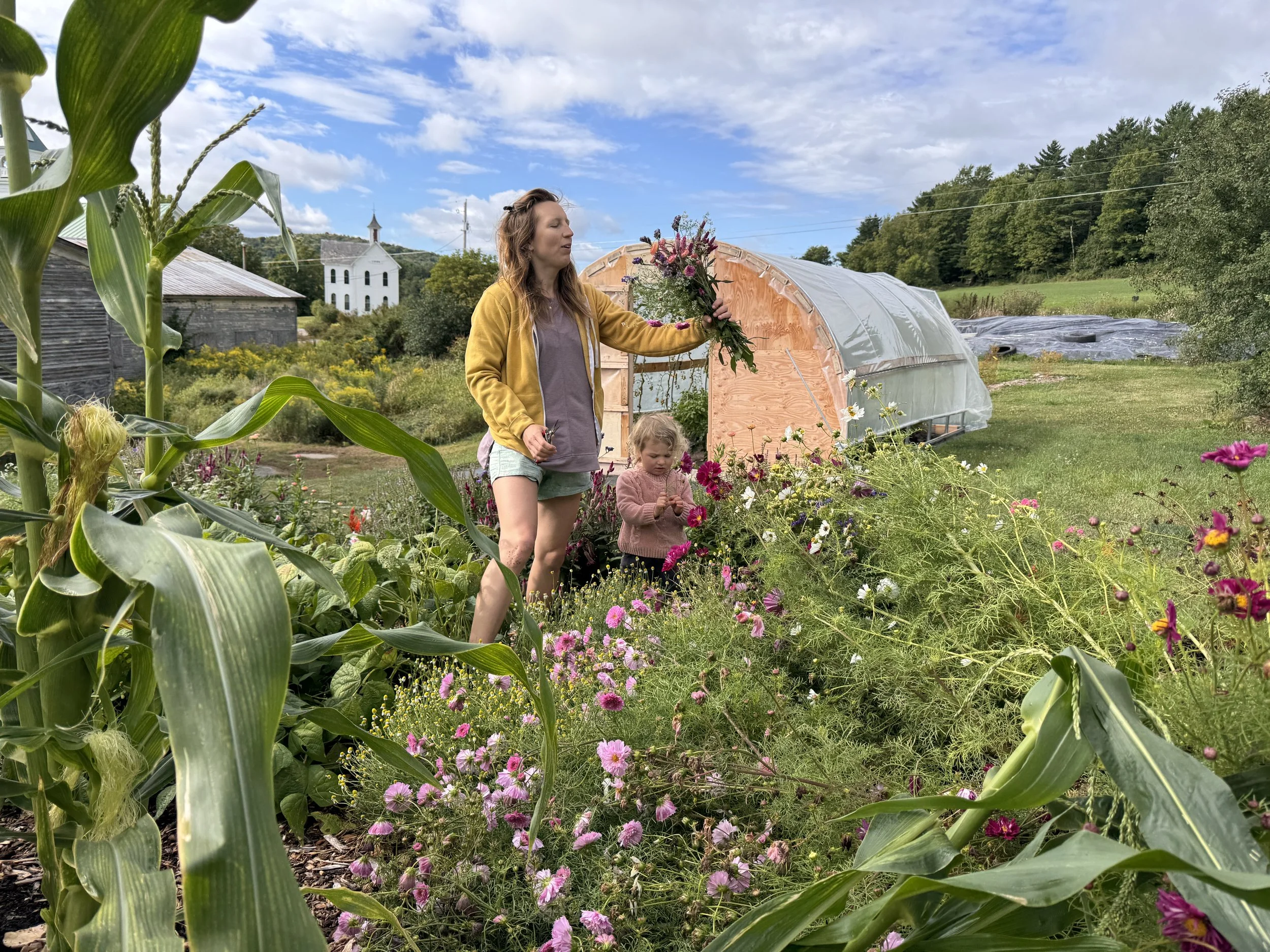 An adult and a child harvesting flowers at Jump Rope Farm in New Haven, VT, with a greenhouse in the background. Volunteer farming opportunities, community events, and free food from a roadside farmstand are also available.