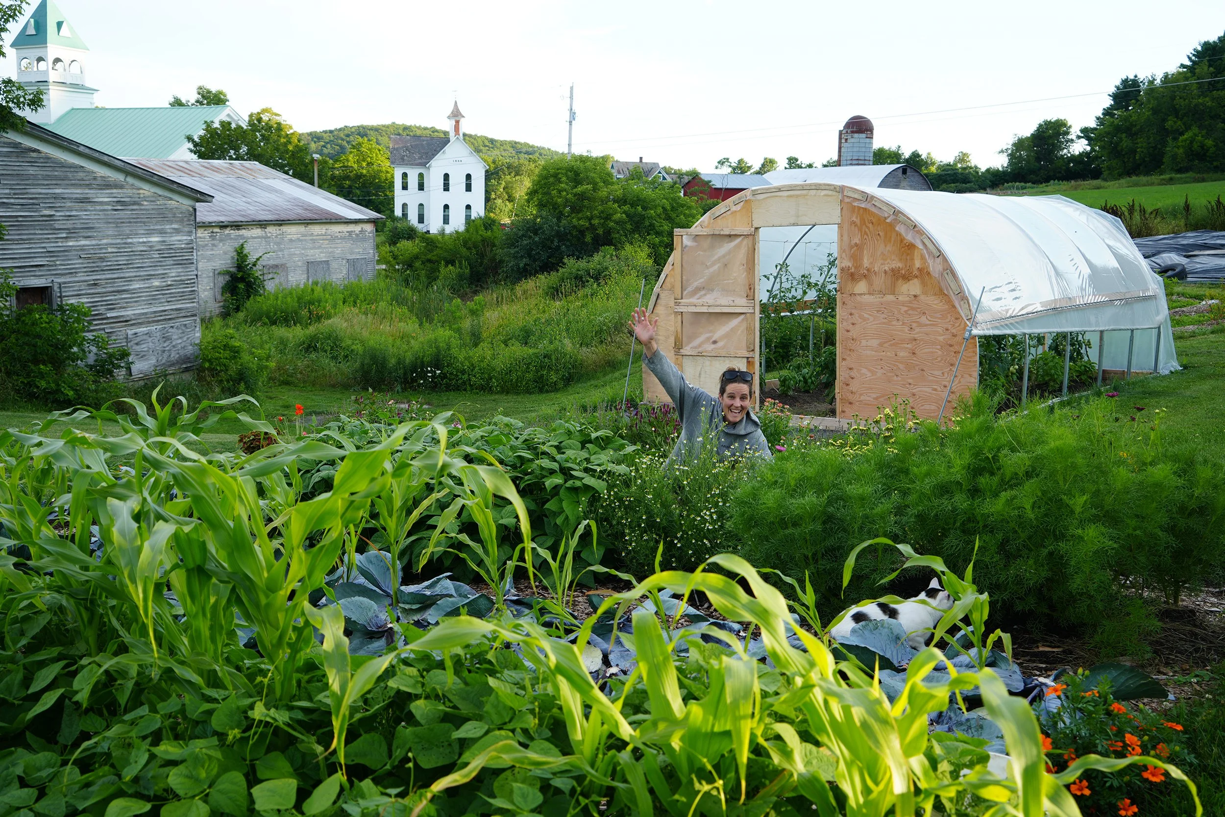 Ava Murphey of Jump Rope Farm waves from a lush green vegetable garden with a greenhouse, farm buildings, and the historic Lampson School building in the background. Offering free food from their roadside farmstand in Addison County, Vermont.
