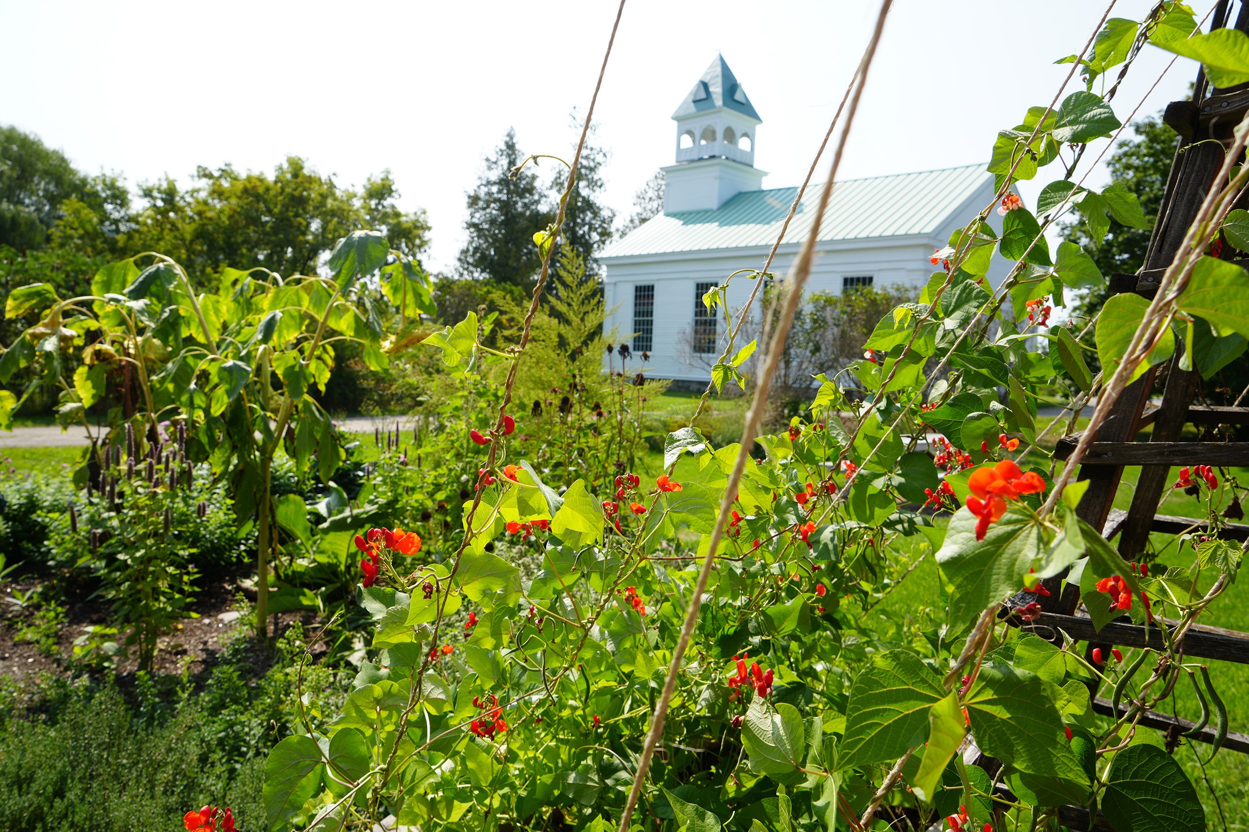Fresh vegetables and flowers grow at Jump Rope Farm in New Haven, Vermont, with the historic Union Church visible in the background.