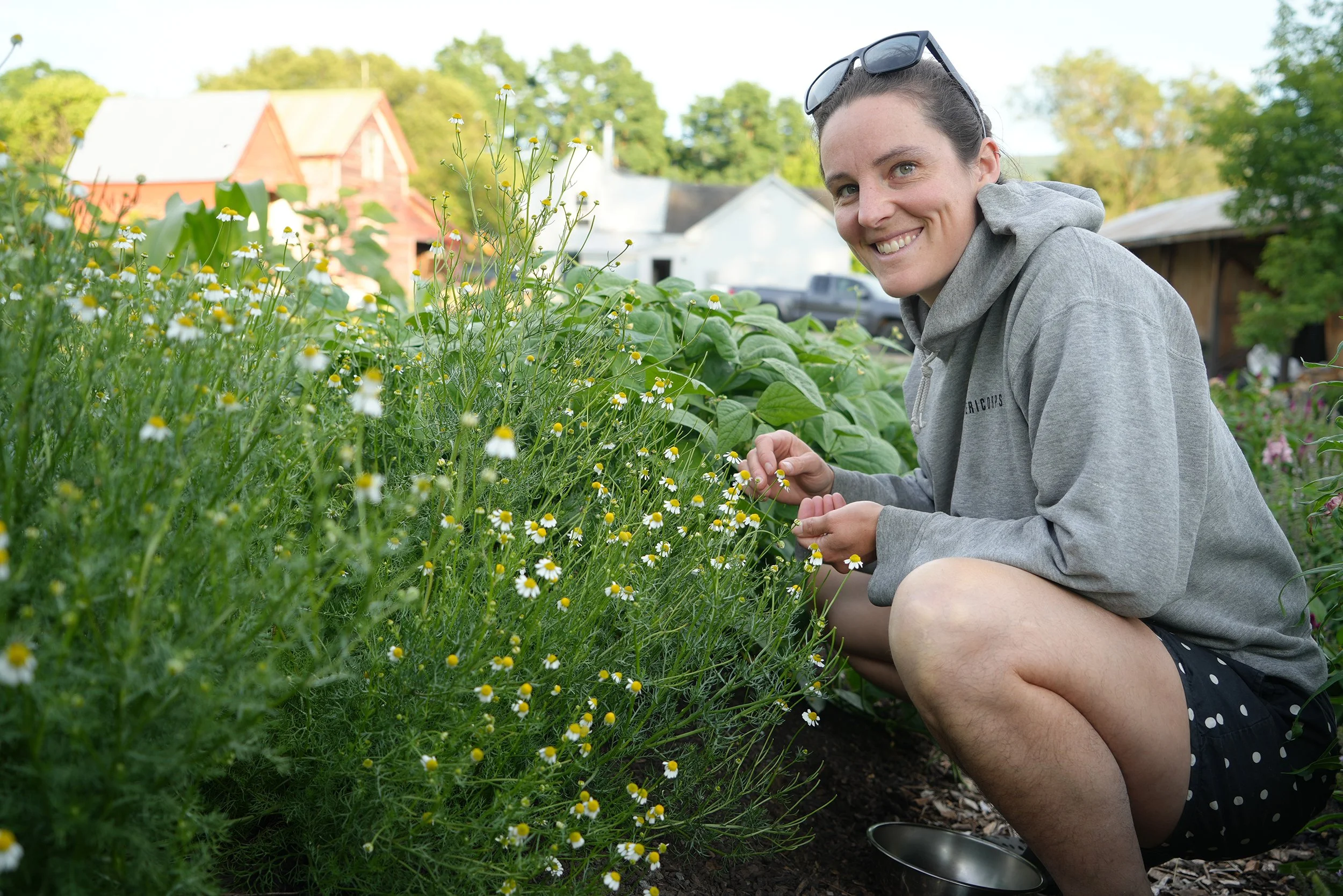 Ava Murphey, co-steward of Jump Rope Farm in New Haven, VT, picks vegetables for the free food farmstand. 
