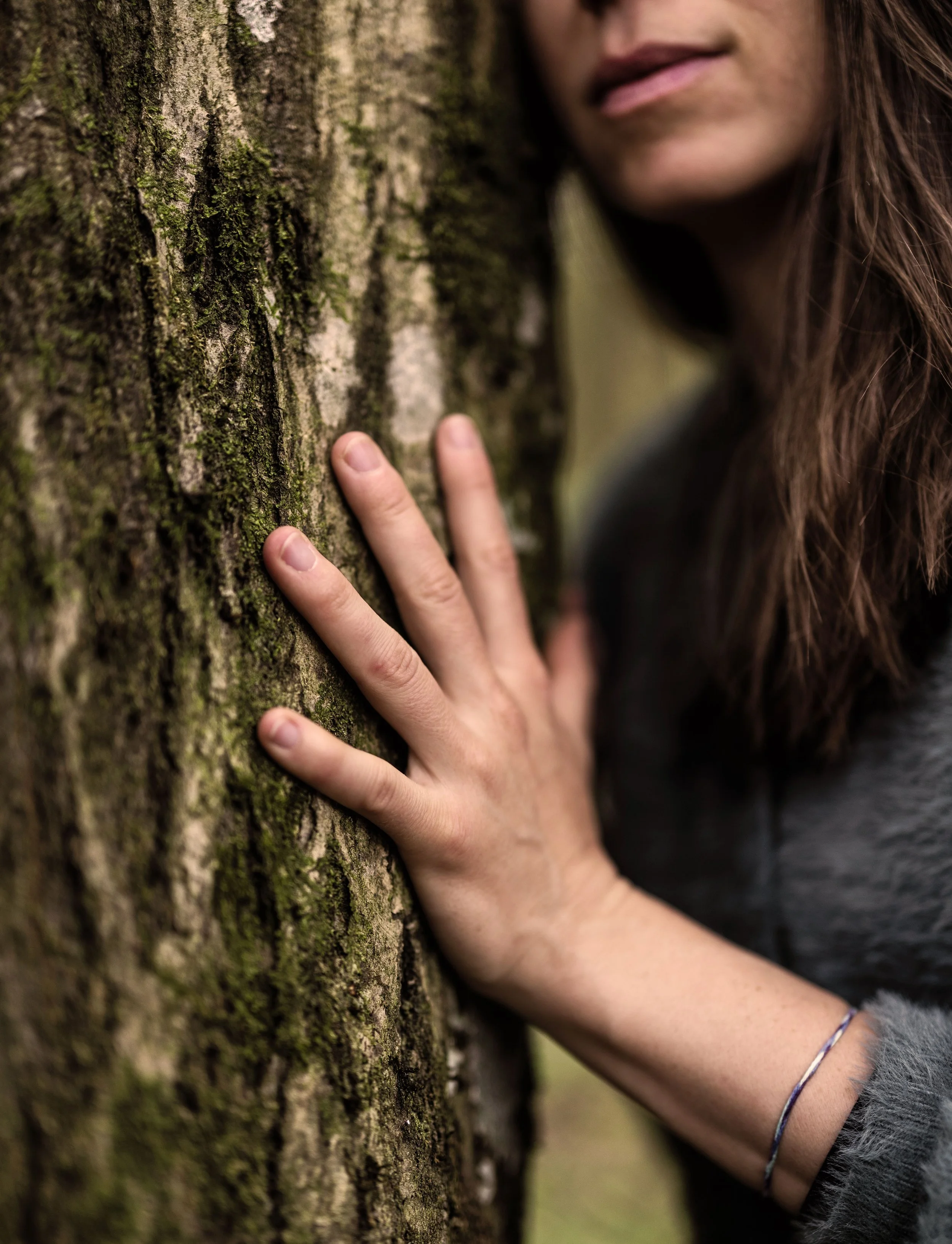 Hand berührt Baumrinde Symbol Verbindung und Natur