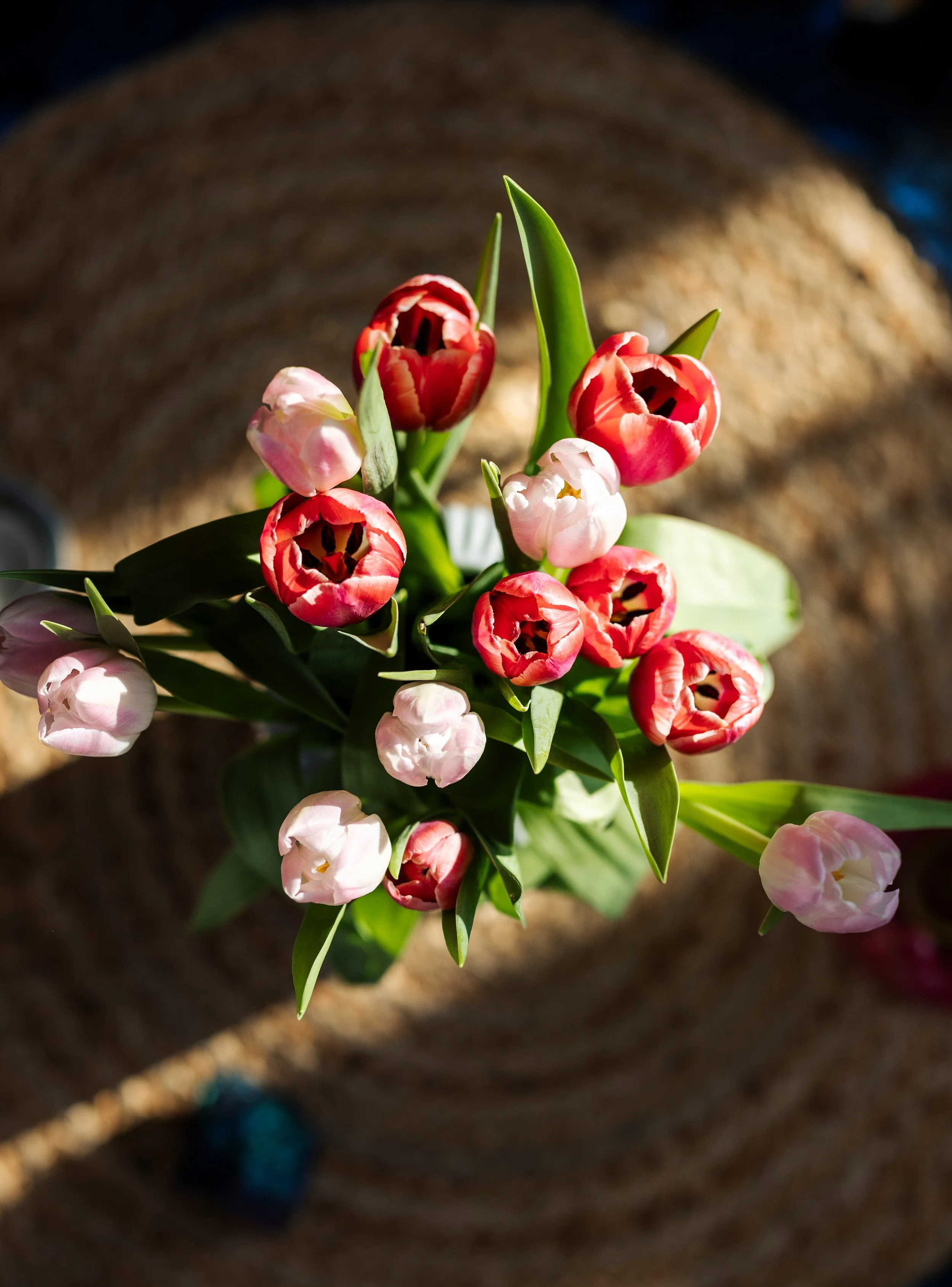 Frauenkreis – Gemeinschaft Heilung und Kraft im Kreis der Frauen
