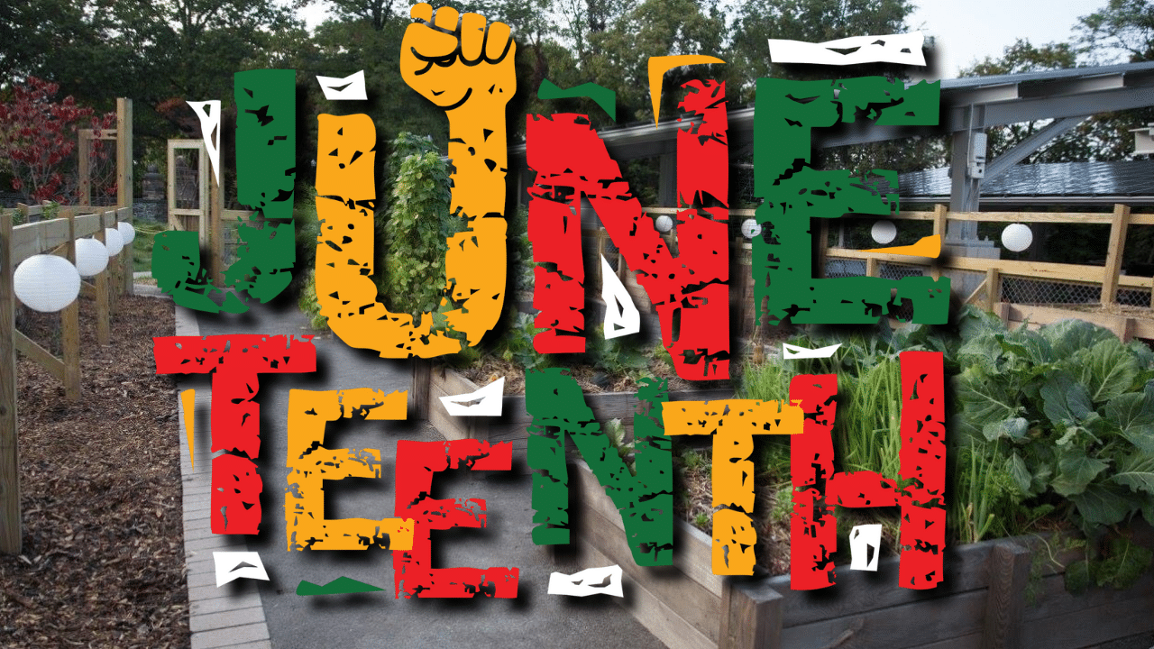 Juneteenth-Themed Storytime at Frick Environmental Center