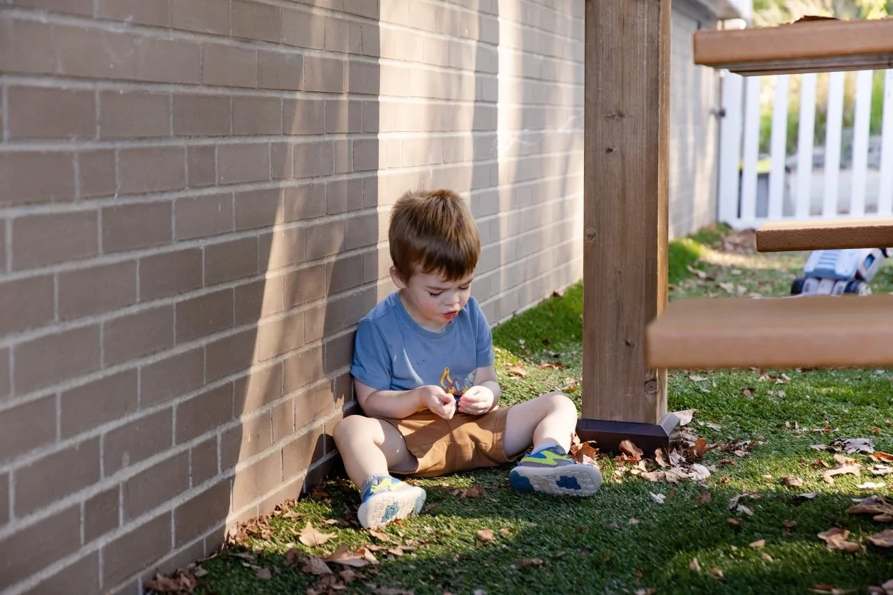 OCDEL’s Summer Learning and Literacy Road Trip Features Nature Theme