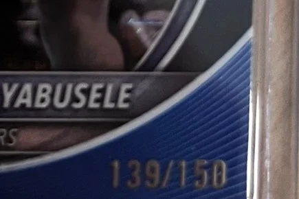 22_Guerschon_Yabusele_02_Serial_Number_IMG_2163.jpg