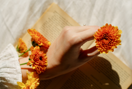 Manifesting 2027: Deine intuitive Jahresausrichtung