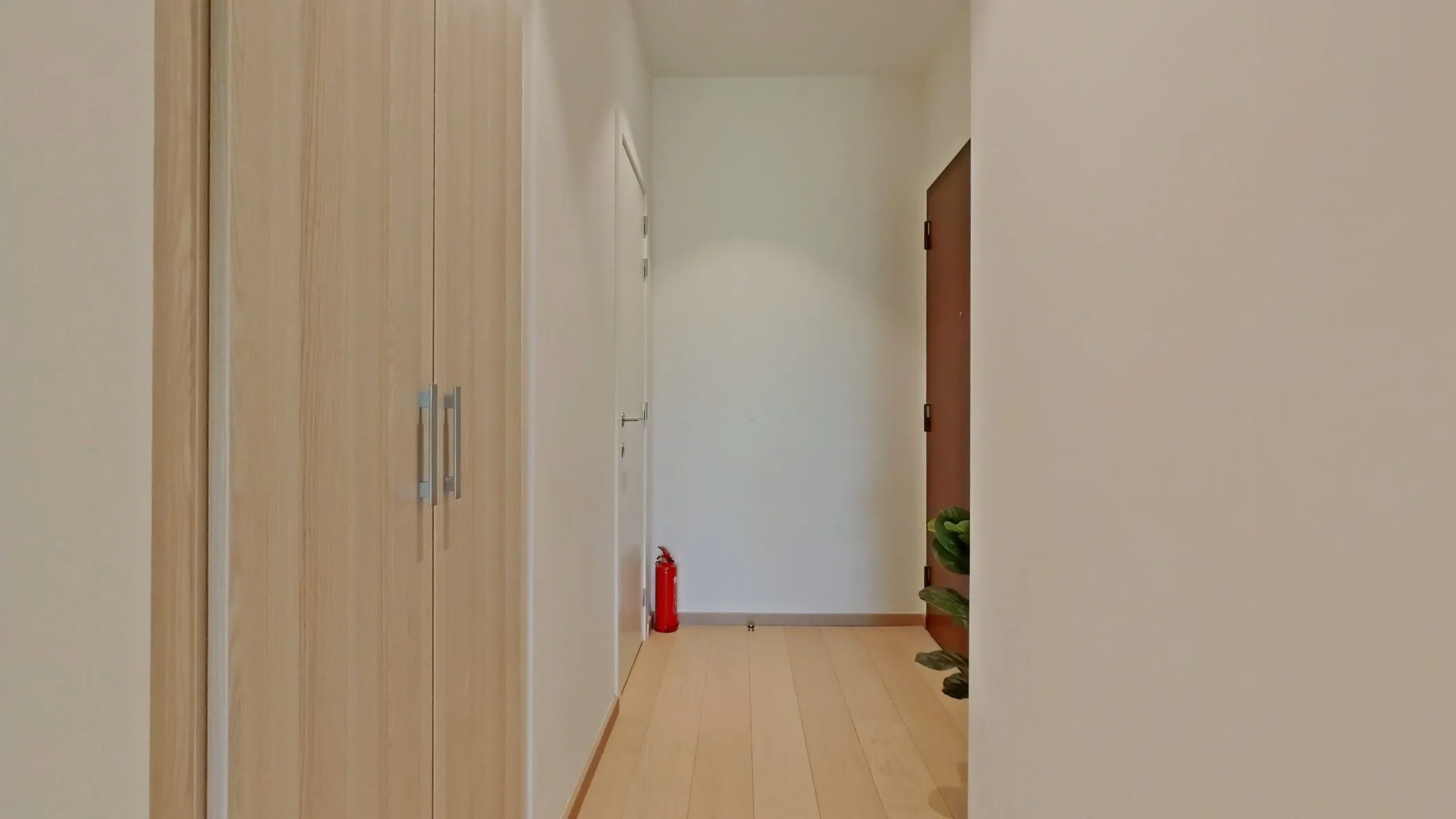 Hall (1).jpg