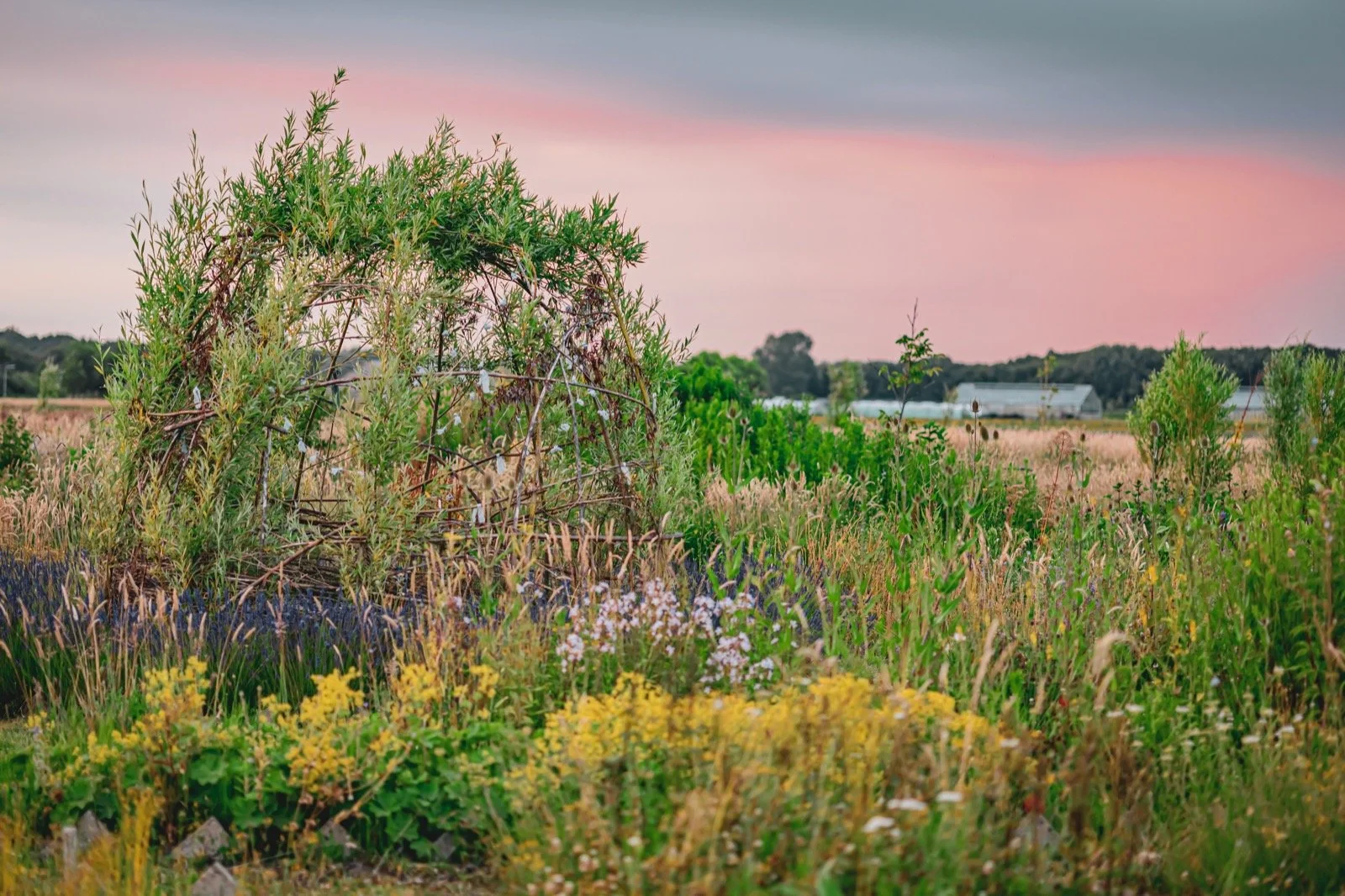 Trouw ceremonie Moon's Farm Noordwijk | Wild Romance Weddings