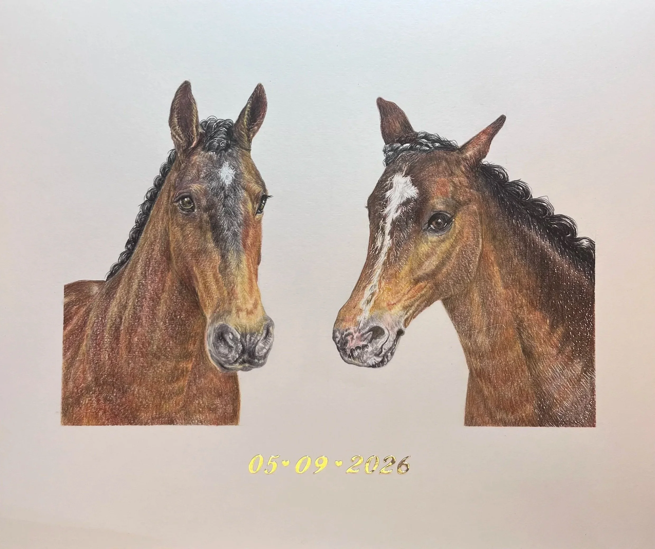 Horses - Clover and Marmite