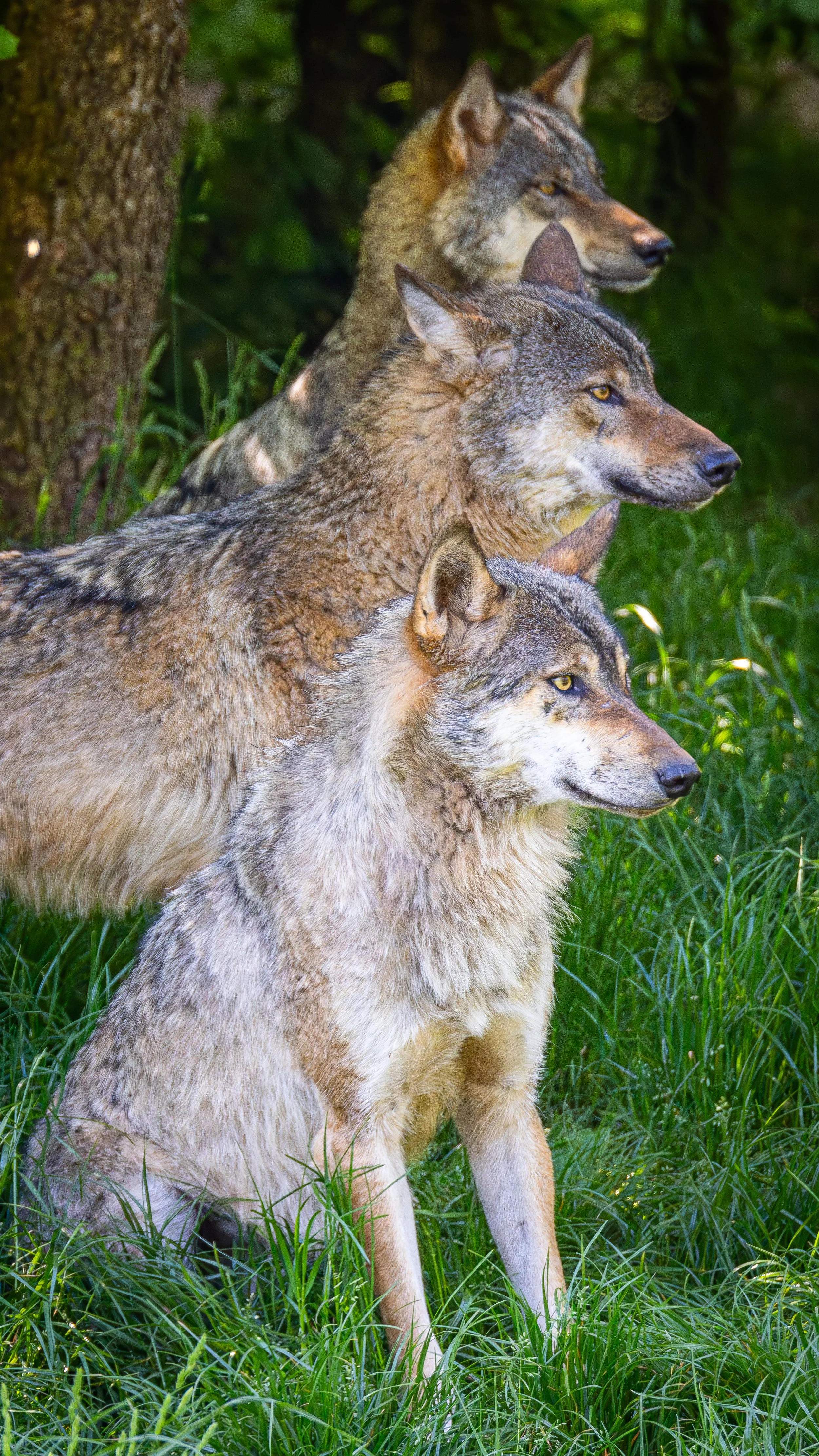 15. Mai 2025-10-02-55-Kalender 2026-9.jpg