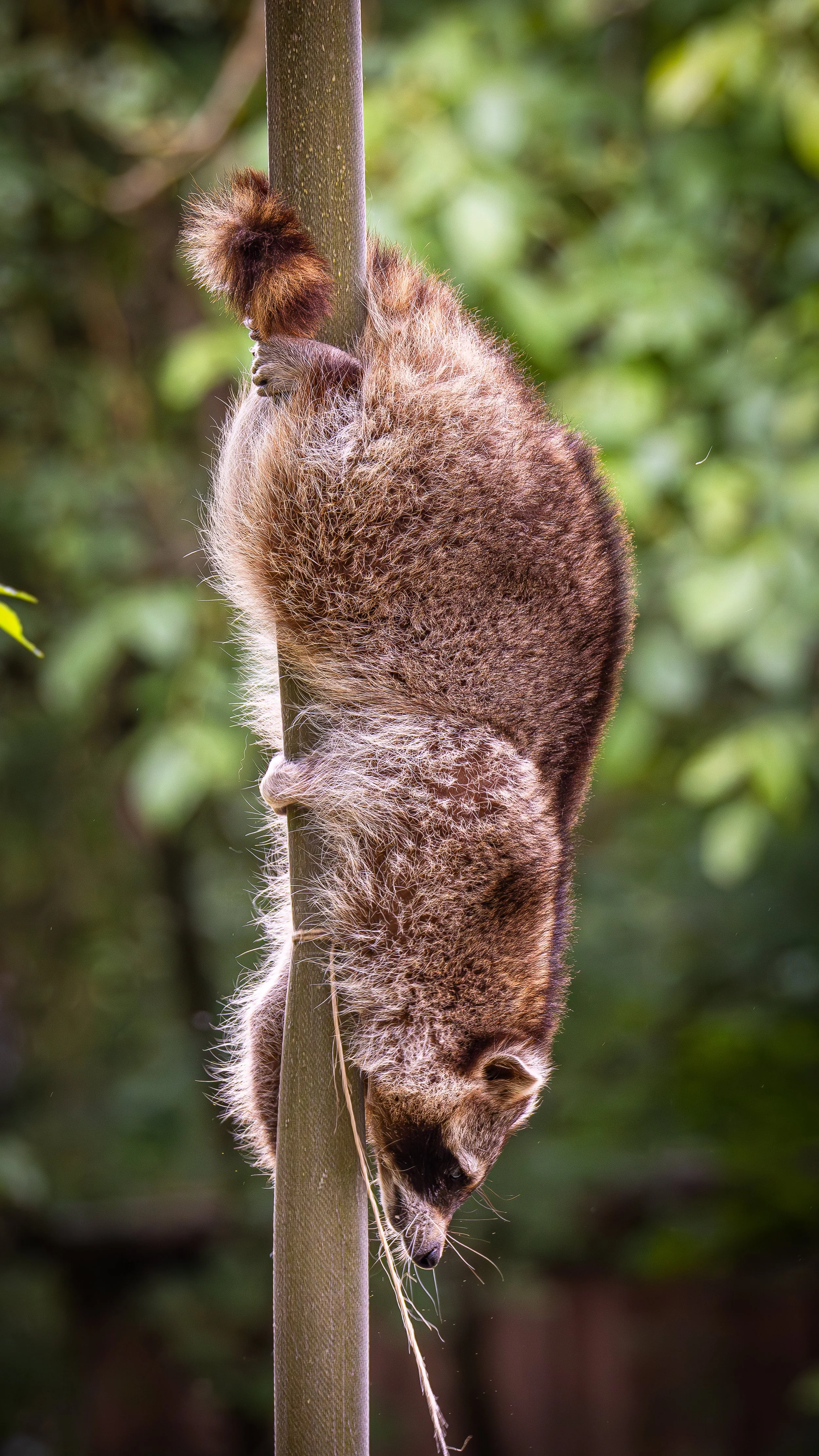 17. Mai 2025-12-06-13-Kalender 2026-8.jpg