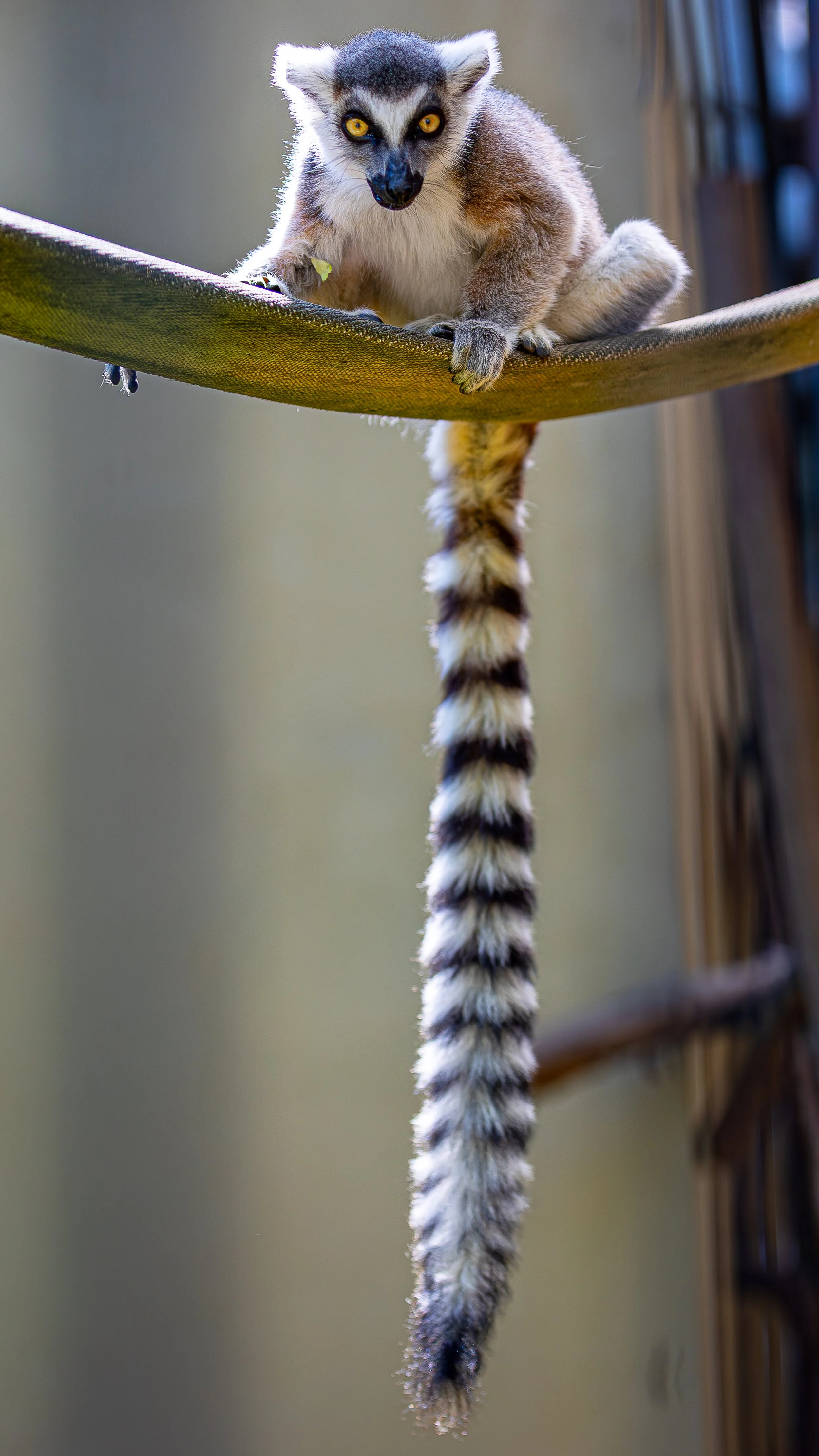 21. Juni 2025-10-25-45-Kalender 2026-9.jpg