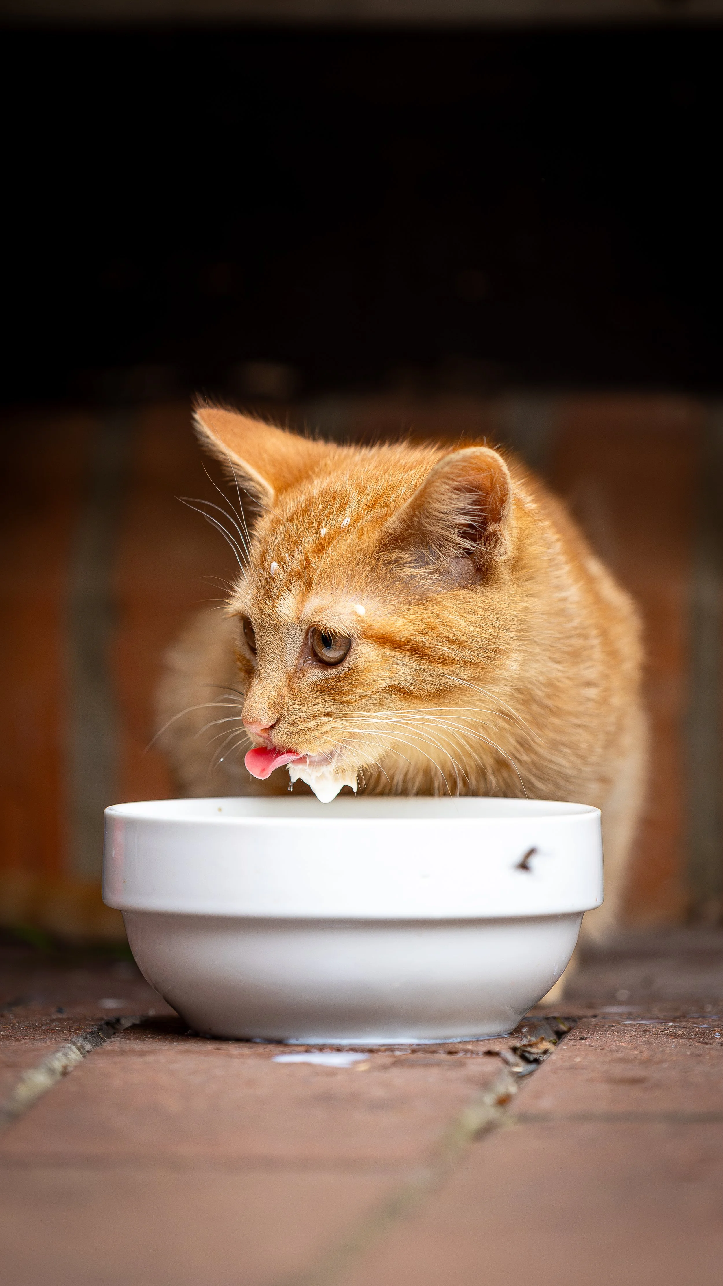 04. August 2025-16-45-10-Kalender 2026-1.jpg