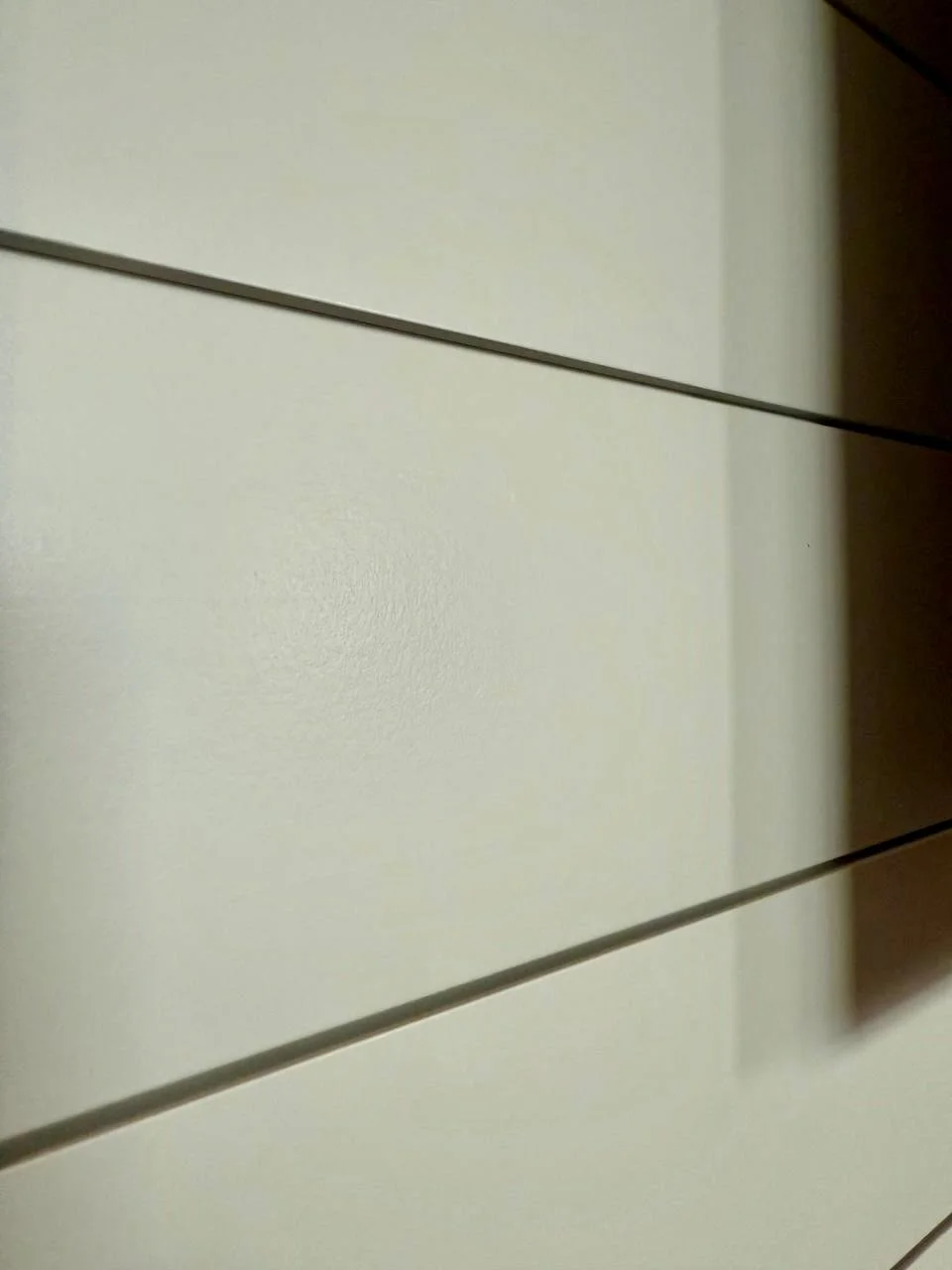 professional paint_Daytona Beach media wall with wood elements.jpeg