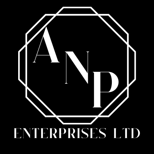 Logo for ANP Enterprises Ltd with white letters "A N P" inside a geometric border on a black background
