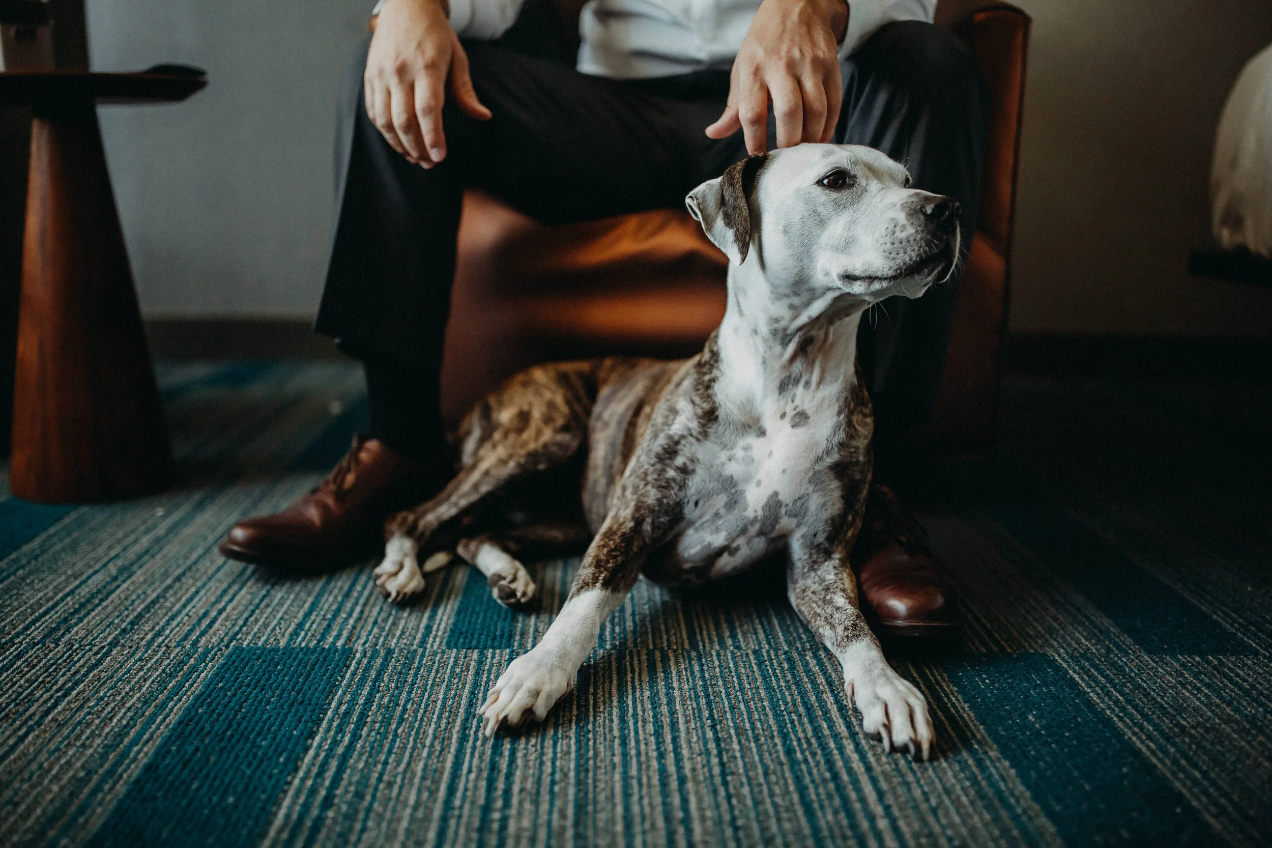 McGinnis Wedding 2017 (JPEG) (120 of 992).jpg