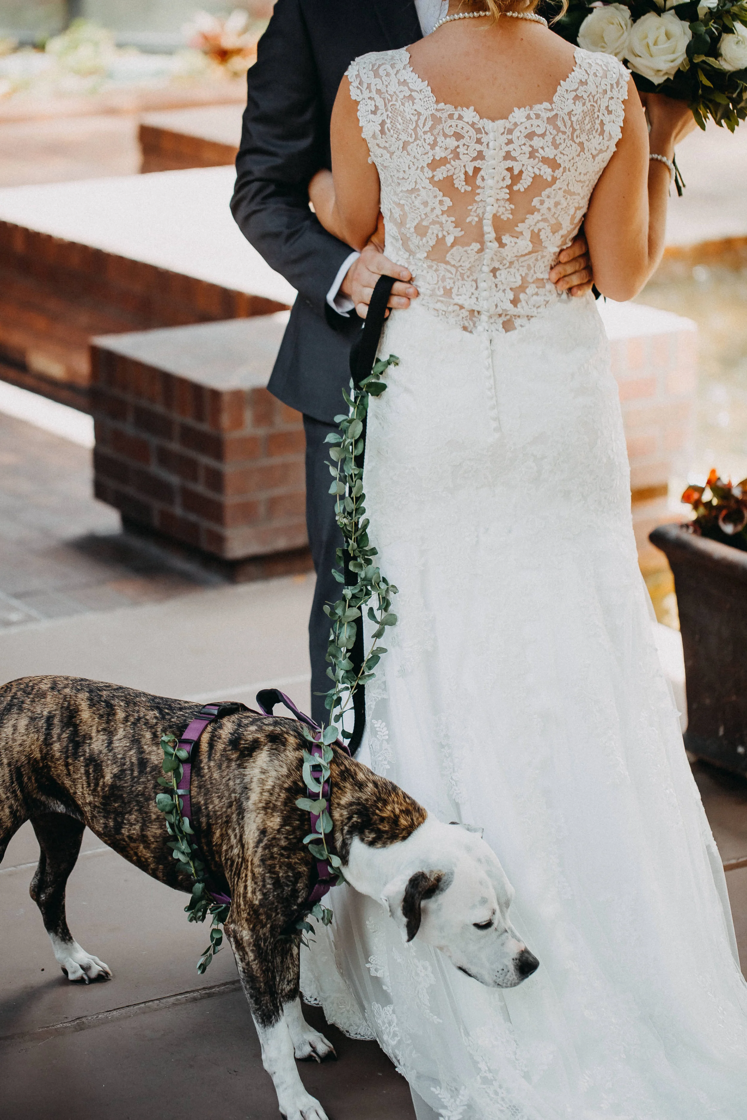 McGinnis Wedding 2017 (JPEG) (240 of 992).jpg