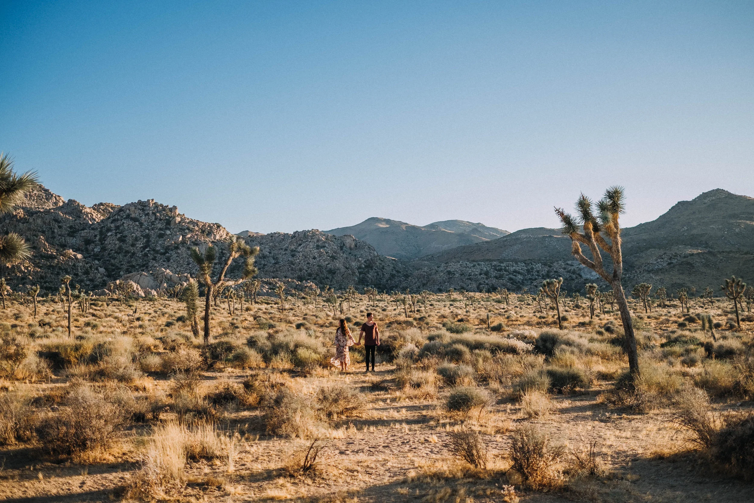 Emily + Chris Joshua Tree (JPEG)36.jpg