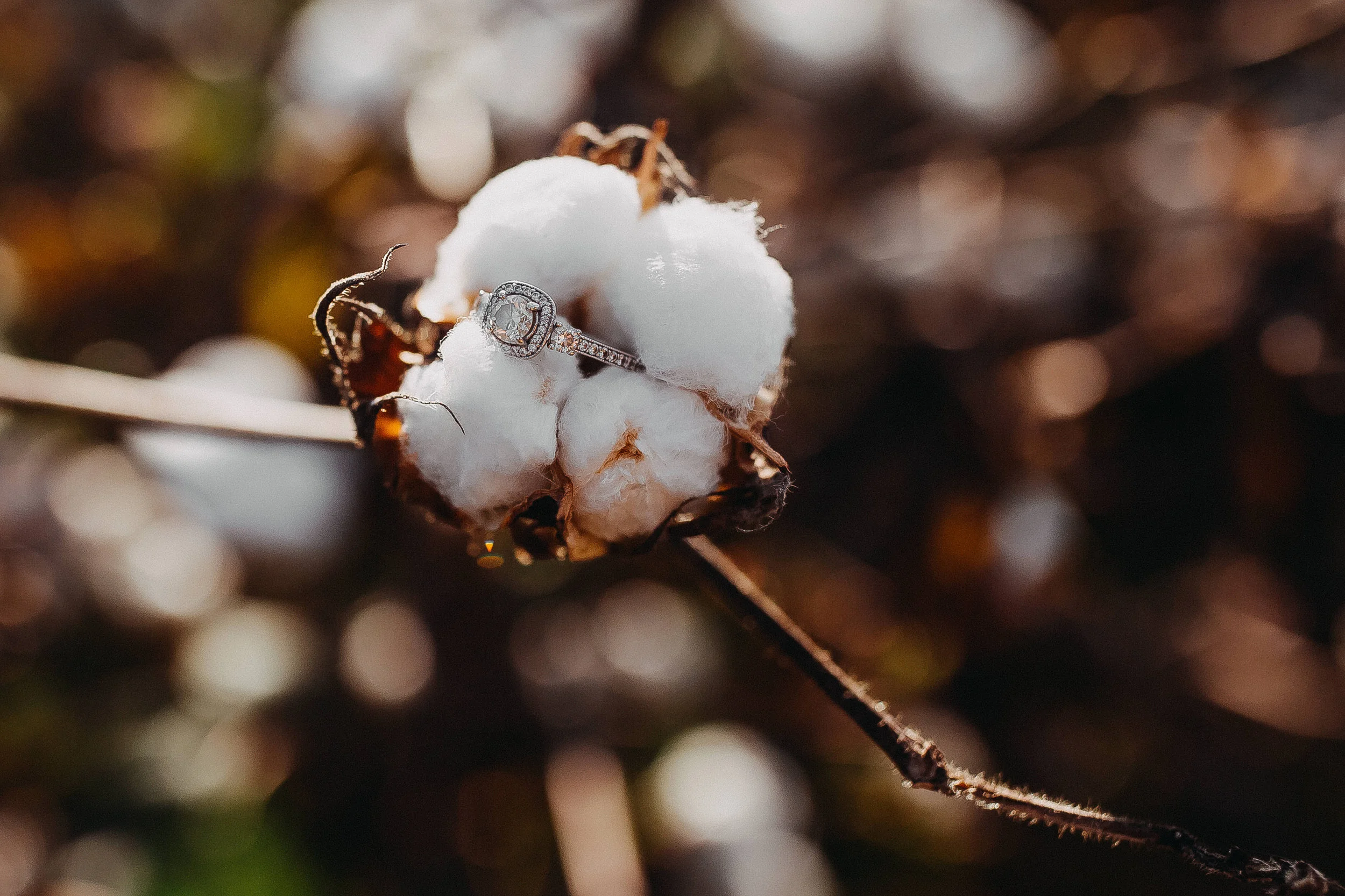 Erin + Cameron ENG 2017 (JPEG) (25 of 168).jpg