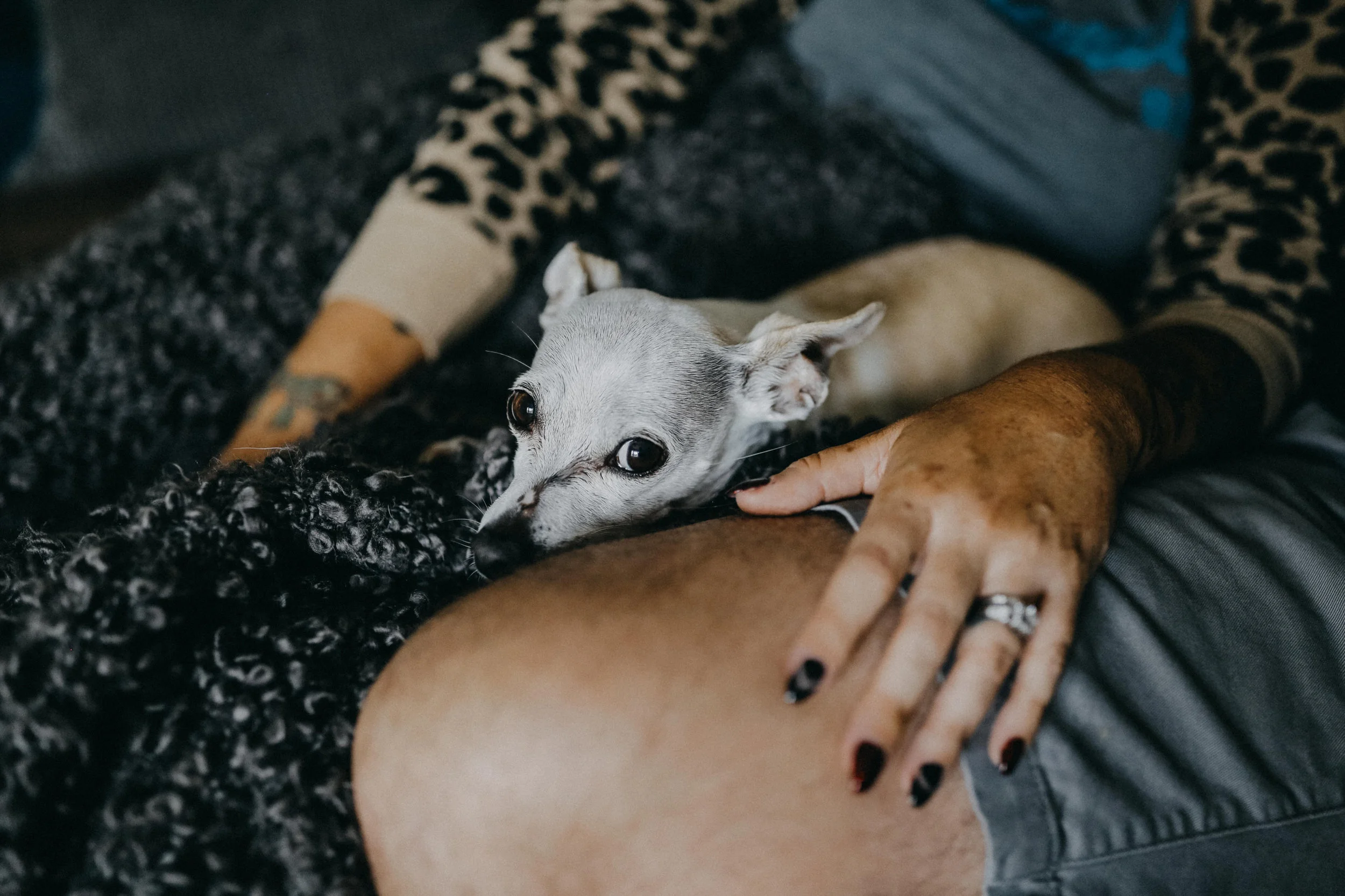 Jo + Scott Home Session 2017 (JPEG) (10 of 78).jpg