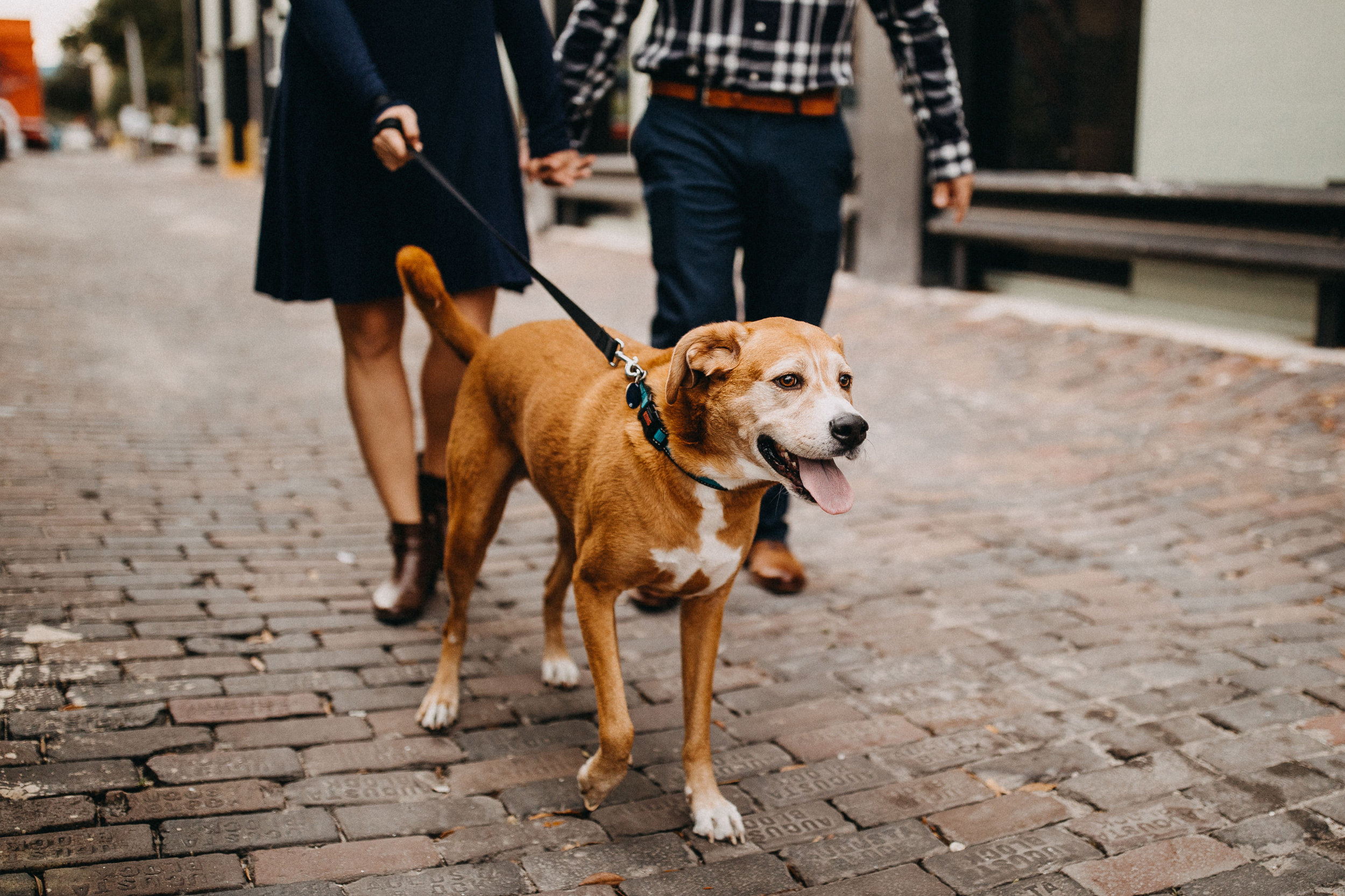 Ilana + Eric ENG 2017 (JPEG) (48 of 116).jpg