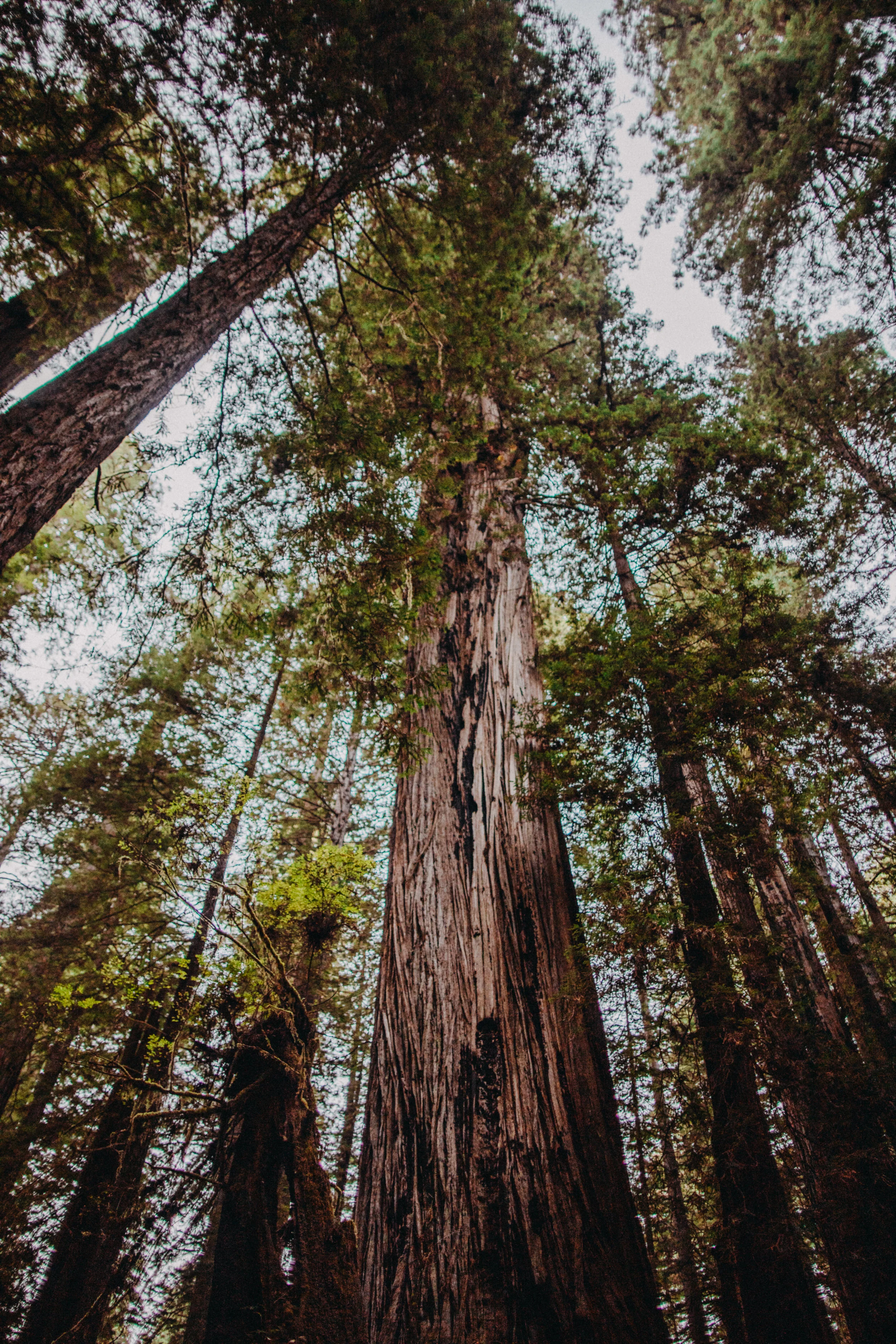 Rizer Elopement SAMPLE 2018 (JPEG) (36 of 54).jpg