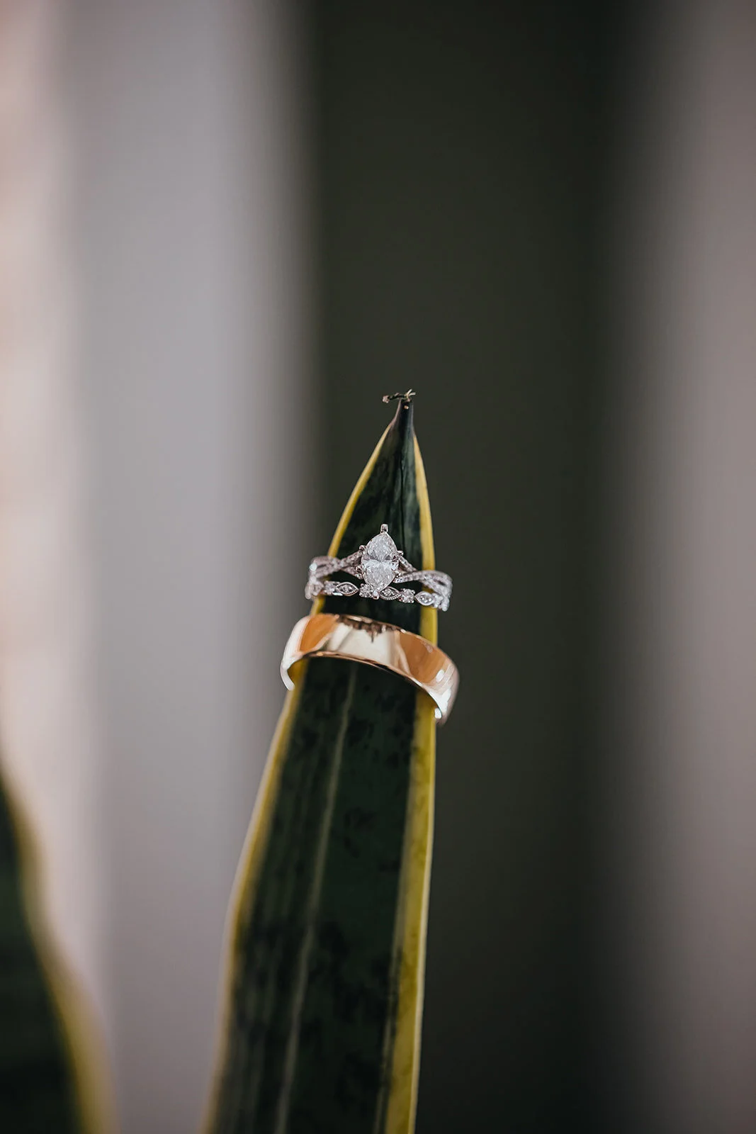 Tampa Wedding Photographer Ybor City Wedding Ybor Museum Wedding Ybor Garden Wedding