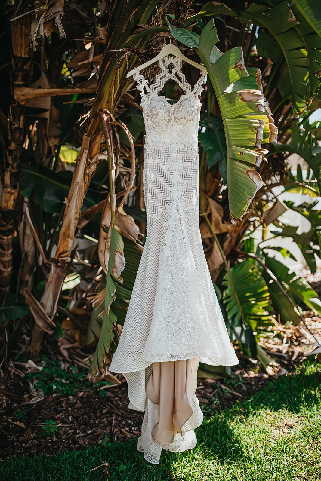 Tampa Wedding Photographer St. Pete Wedding Photographer Sunken Gardens Wedding