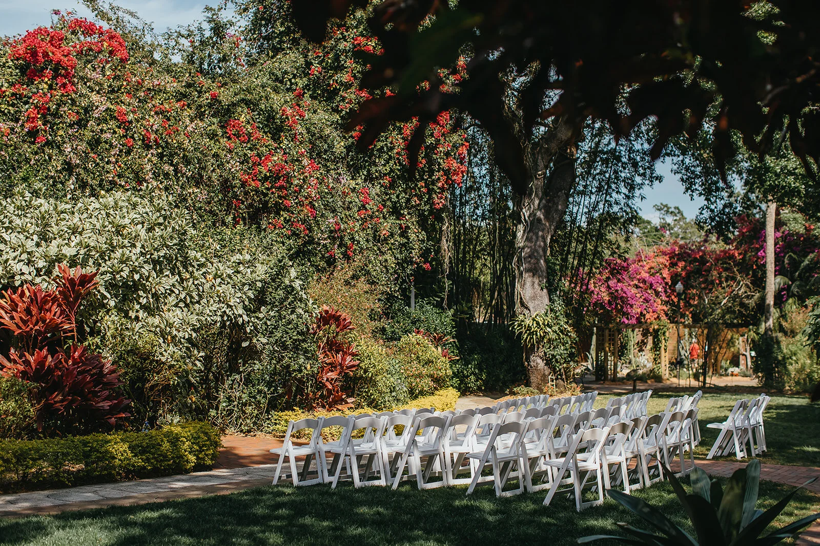 Tampa Wedding Photographer St. Pete Wedding Photographer Sunken Gardens Wedding